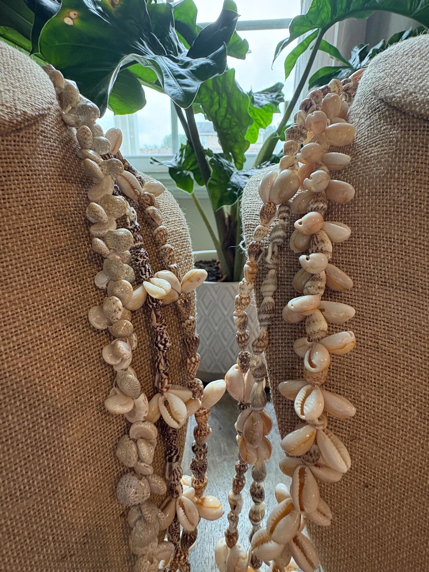 Seashell Lei Collection: Pacific Ocean Shell Leis, Set of 6