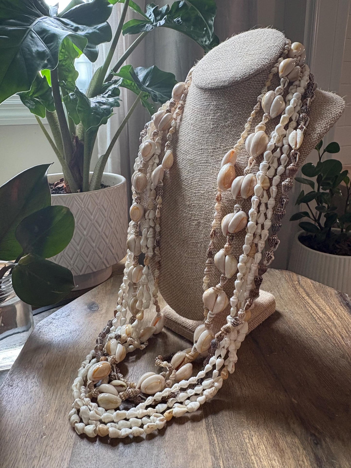 Seashell Lei Set: 6 Pacific Ocean Leis, Graduation Wedding Celebration