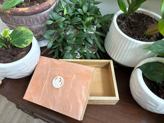Hand-Crafted Polynesian Trinket Box: Faux Shell Inlay, Bone Koru Decor