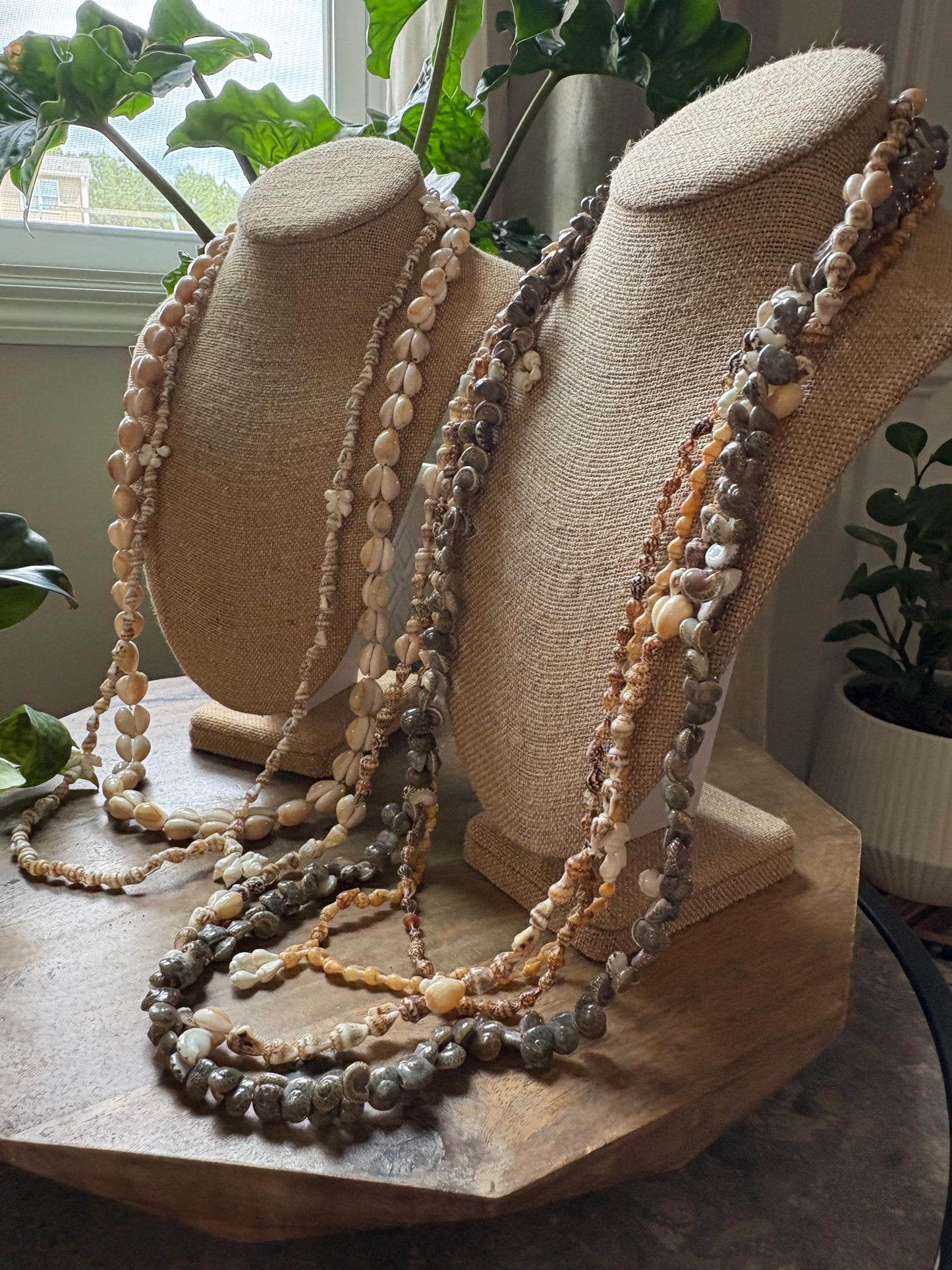 Authentic Seashell Lei Set – Pacific Island Celebration Leis (Set of 6)