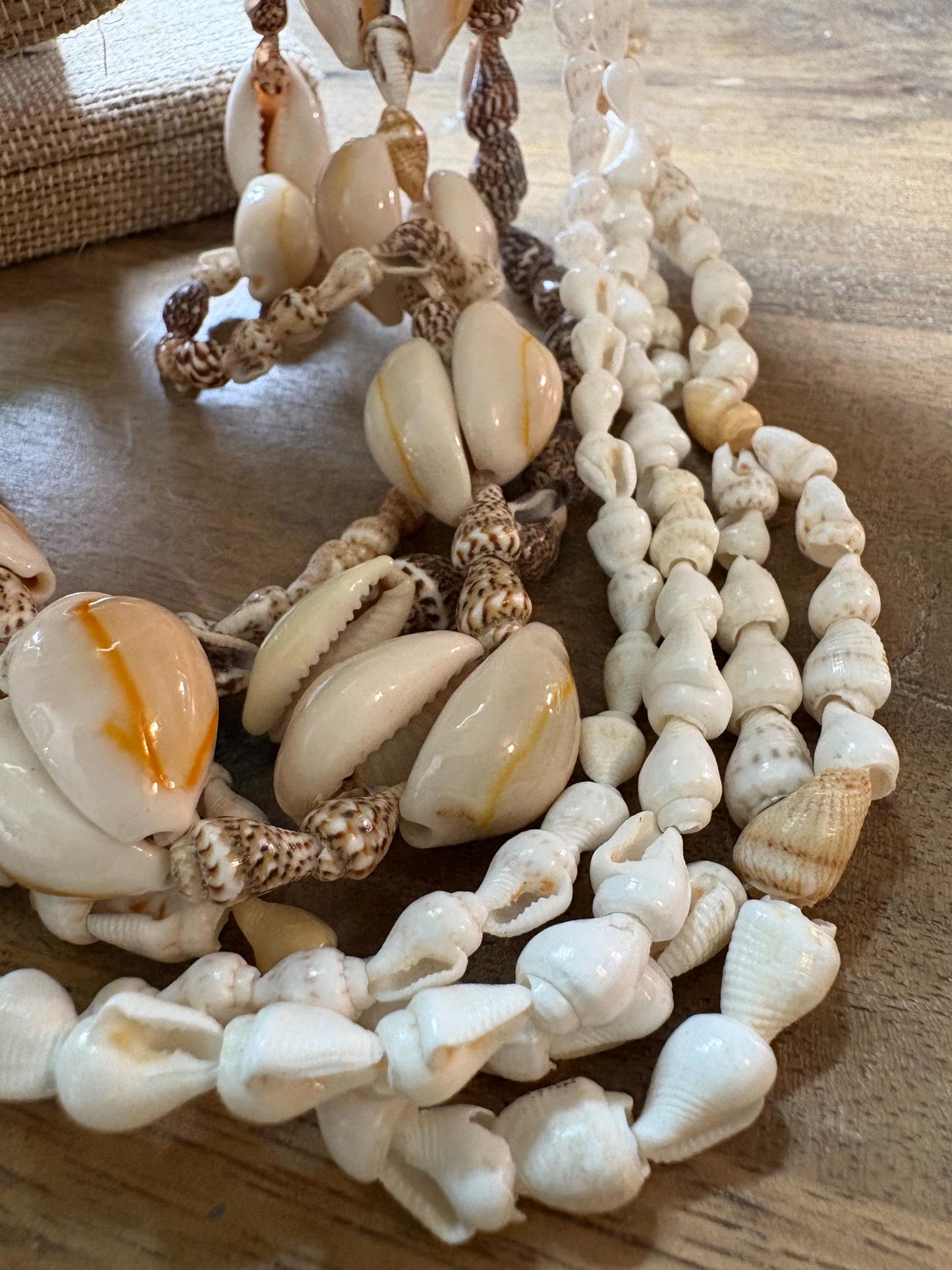 Seashell Lei Set: 6 Pacific Ocean Leis, Graduation Wedding Celebration