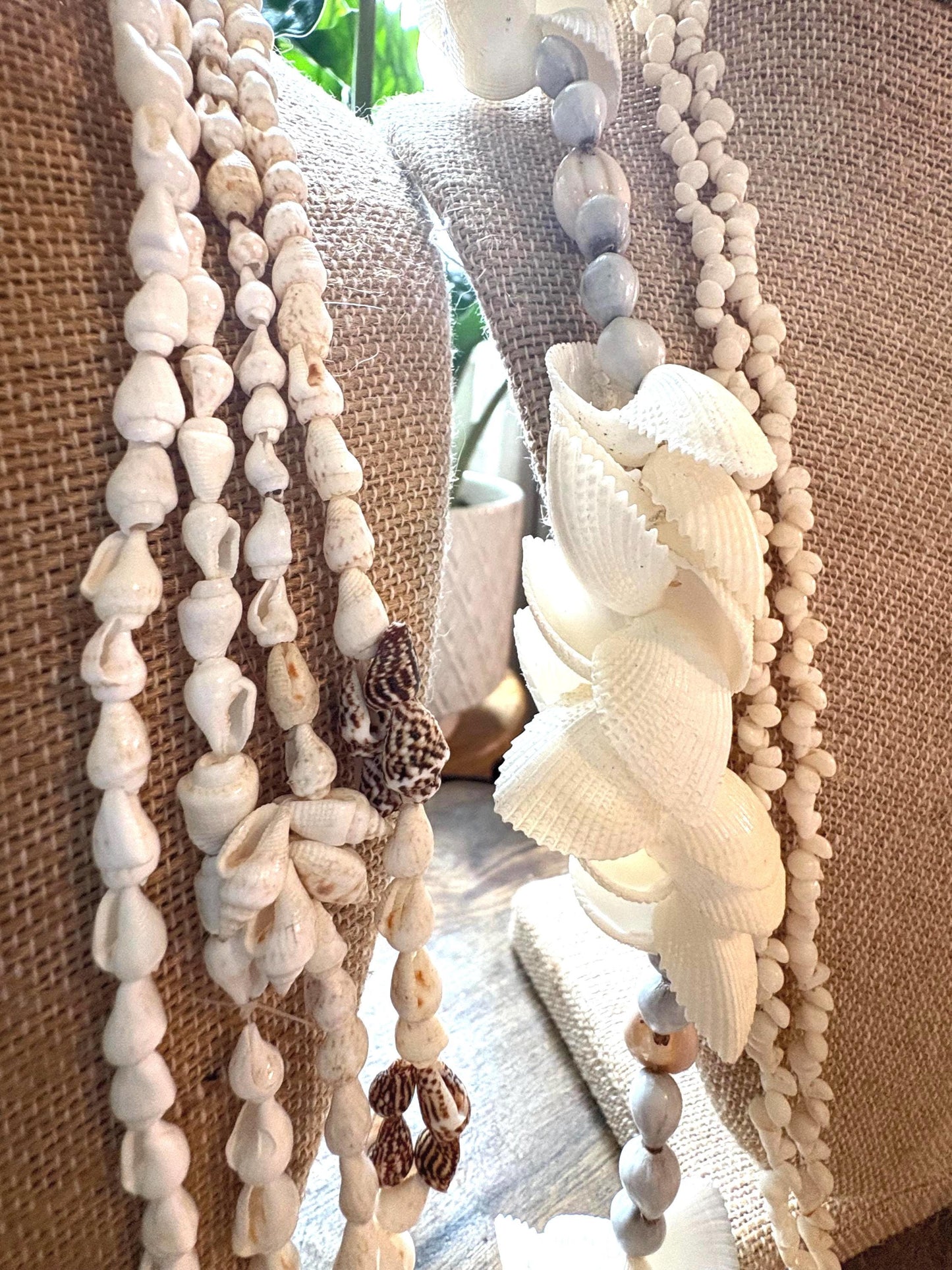 Seashell Lei Set: Pacific Ocean Shells for Celebration, Graduation, Wedding