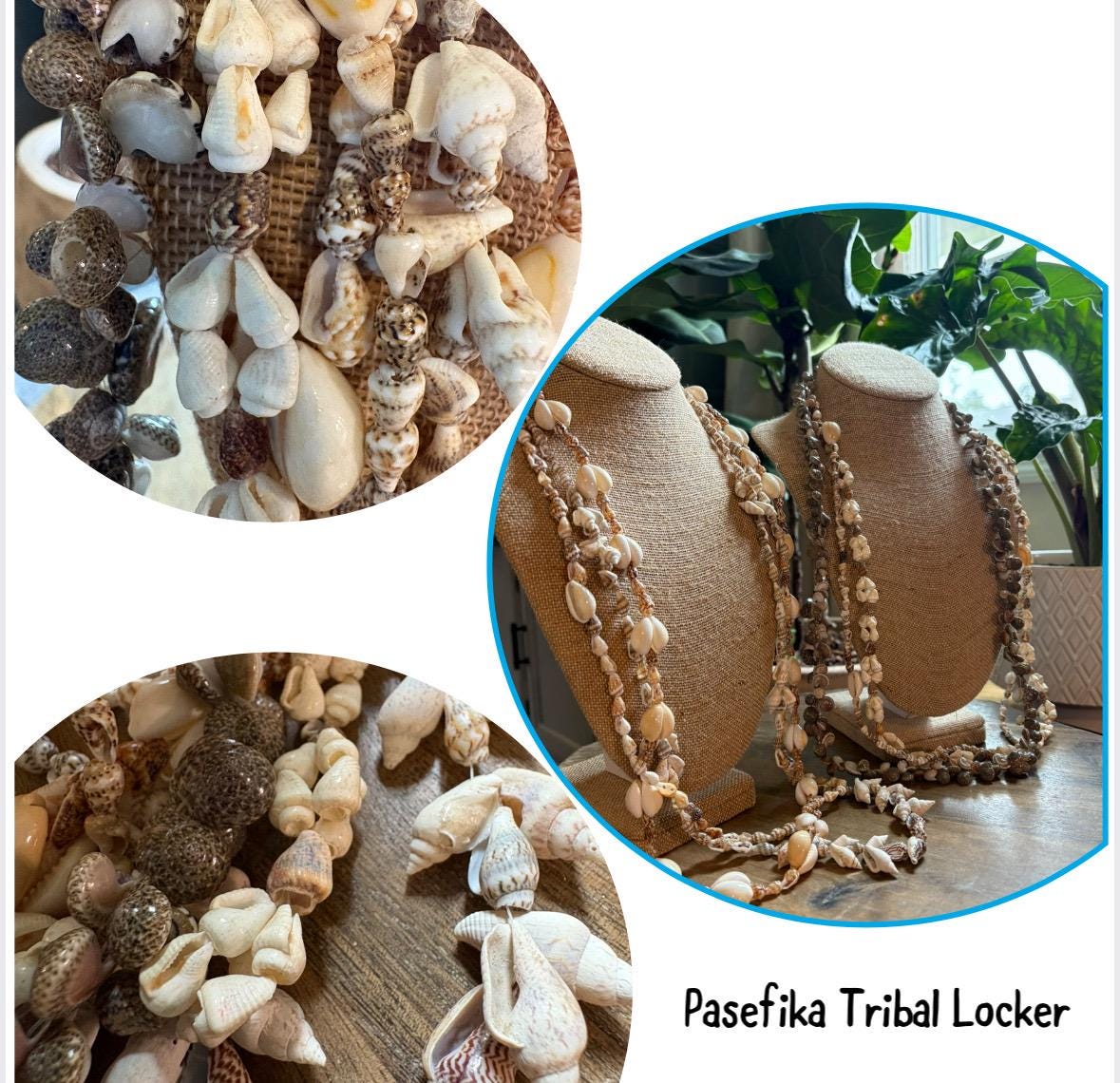 Authentic Seashell Lei Set: Pacific Island Celebration Leis