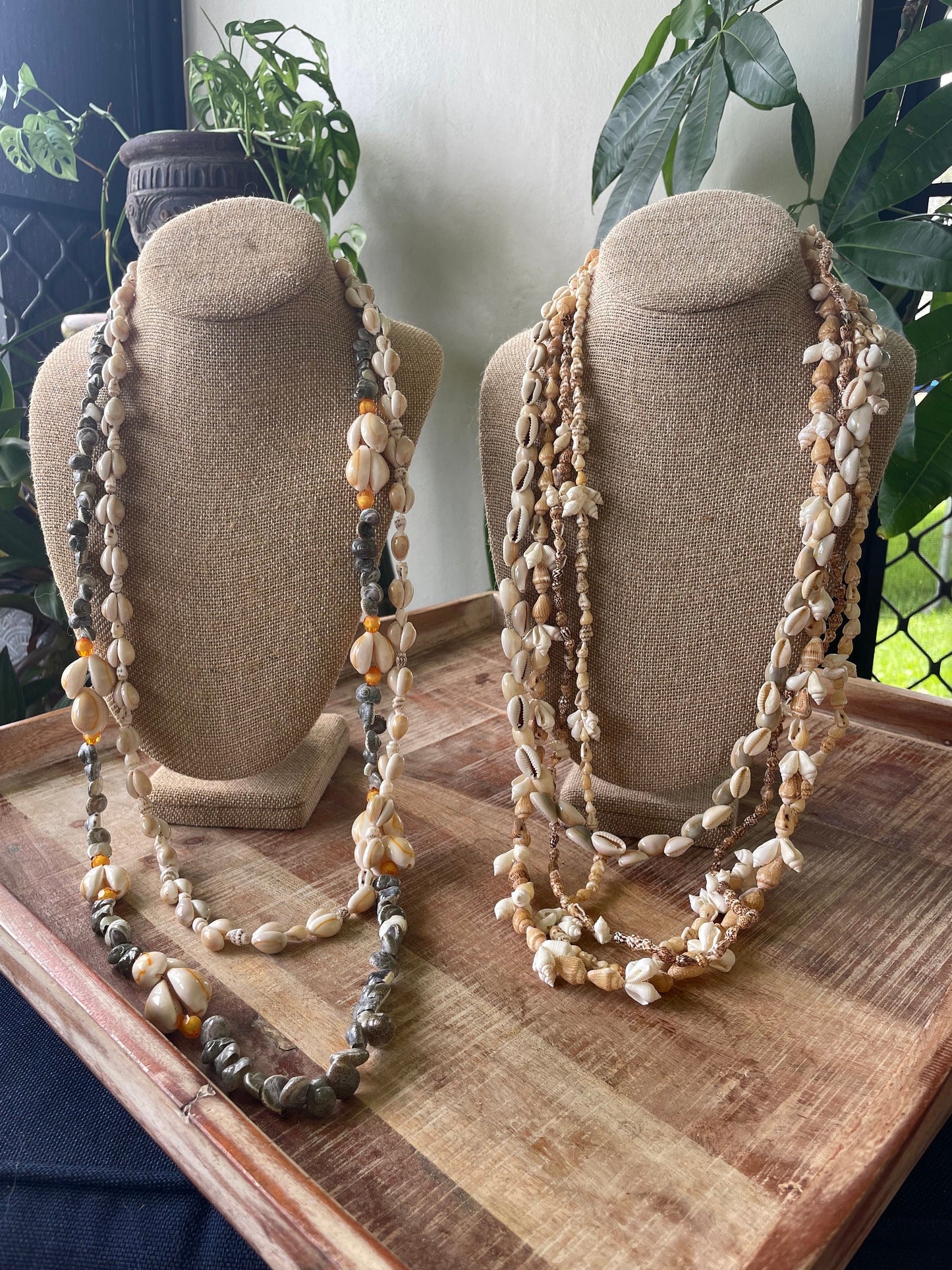 Authentic Seashell Lei Set – Polynesian Celebration Leis, Graduation, Wedding