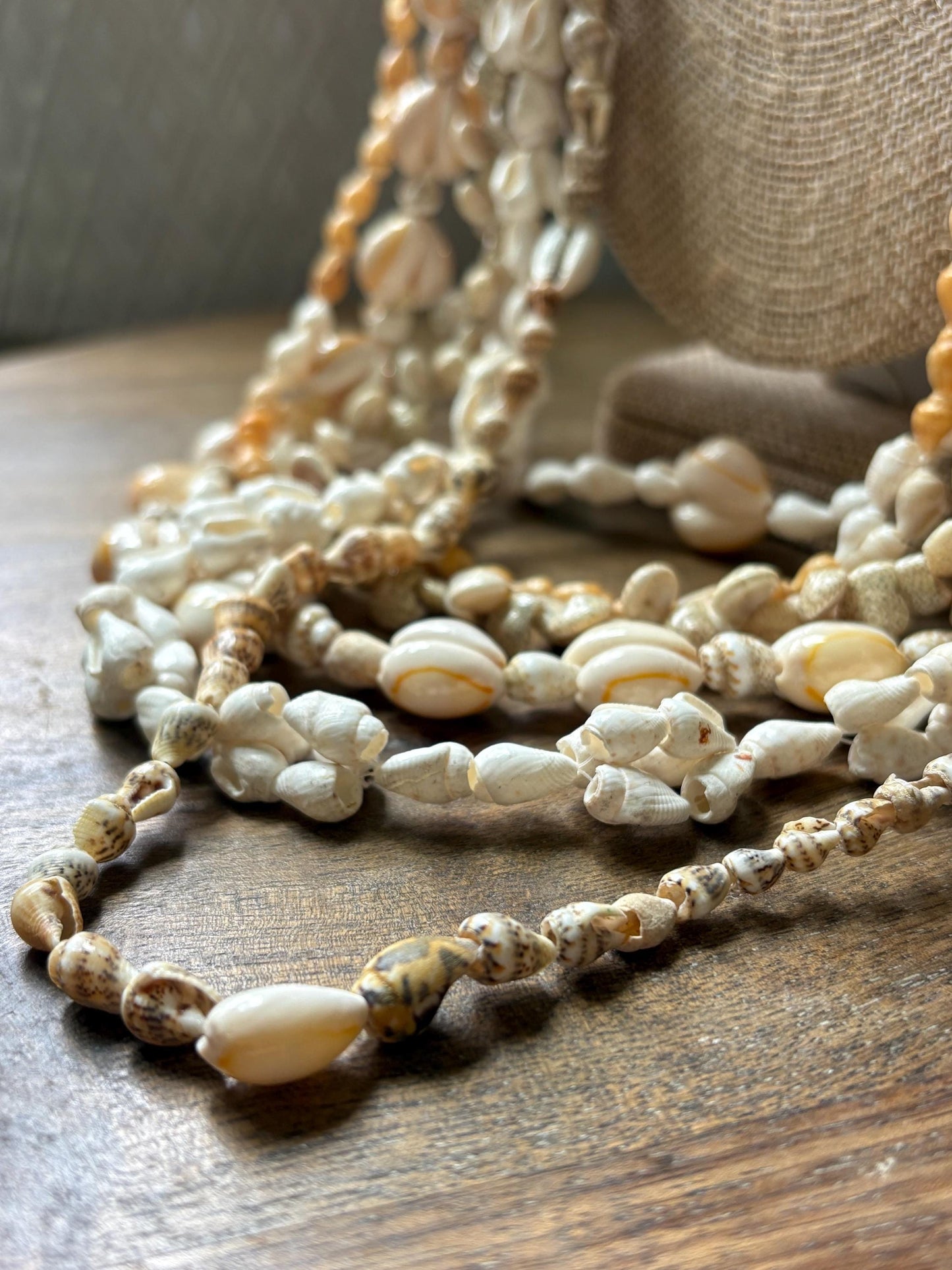 Seashell Lei Set: Pacific Ocean Shell Graduation Leis (34-36")
