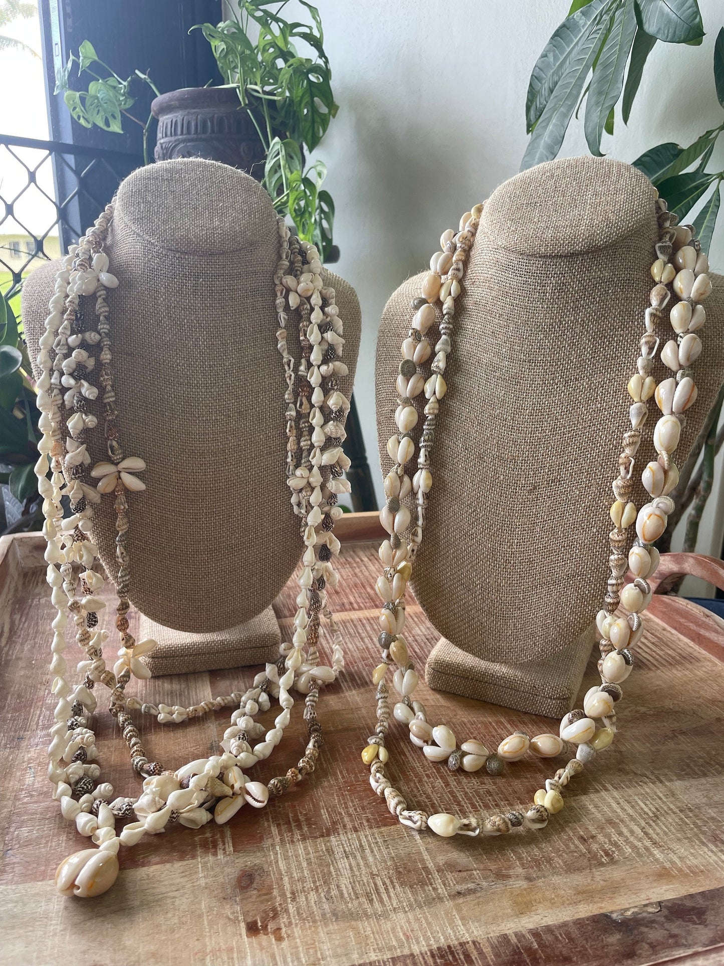 Seashell Lei Set – Pacific Island Celebration Leis, 6 Piece (30-38”)