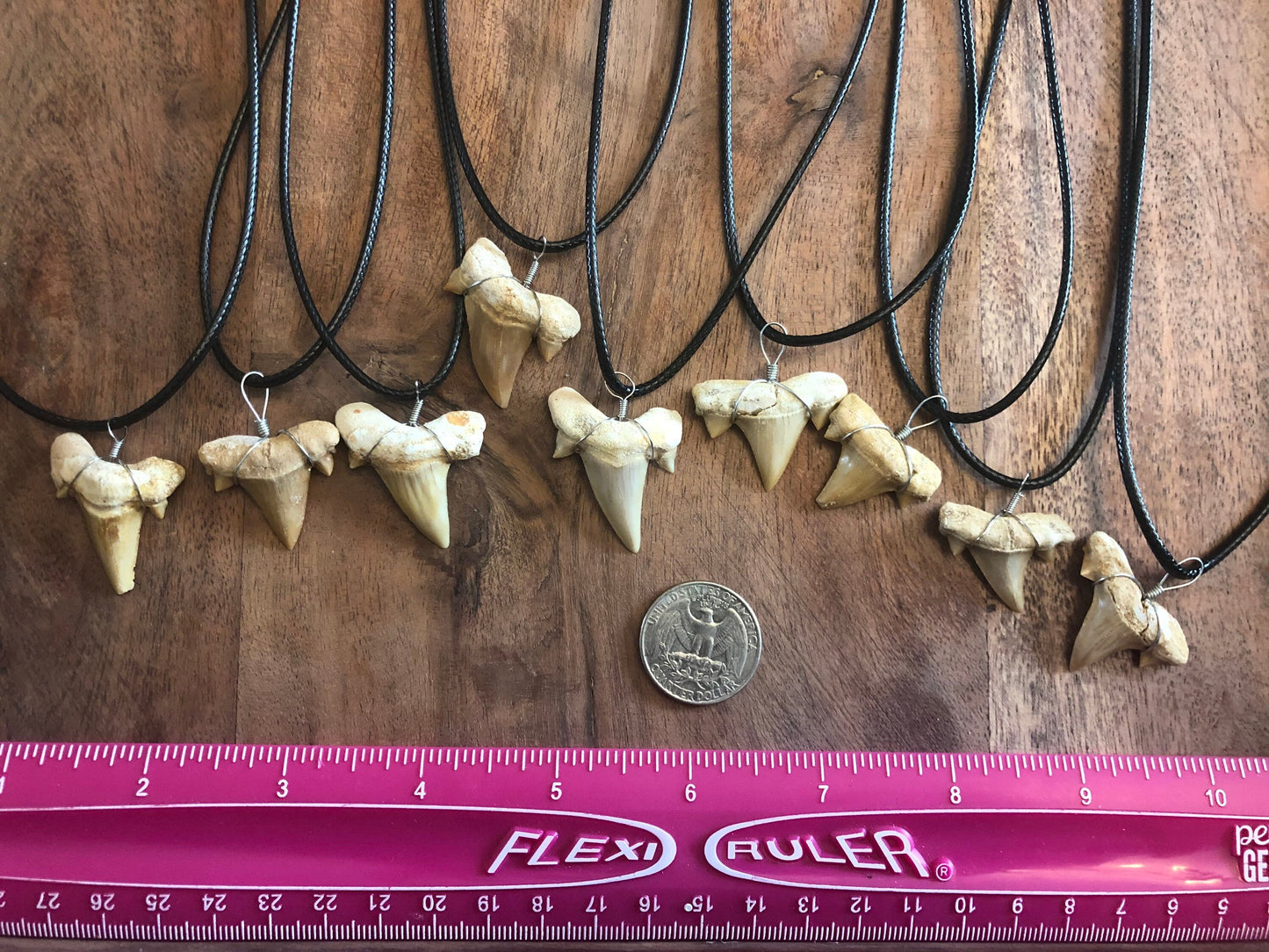 REAL Otodus Shark Tooth Fossil Adjustable Necklace