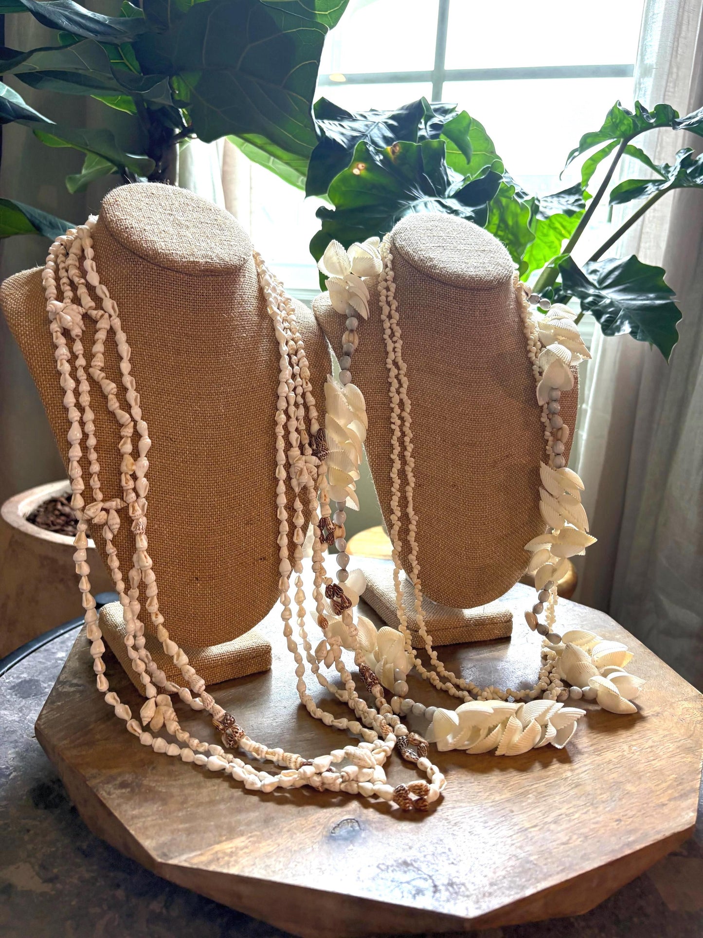 Seashell Lei Set: Pacific Ocean Shells for Celebration, Graduation, Wedding