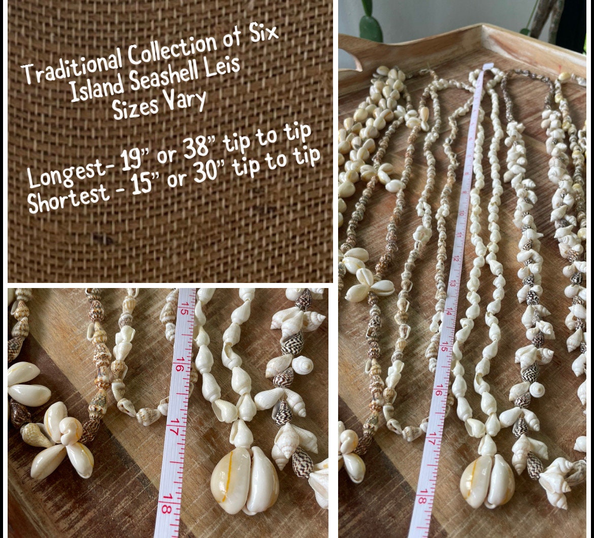 Seashell Lei Set – Pacific Island Celebration Leis, 6 Piece (30-38”)