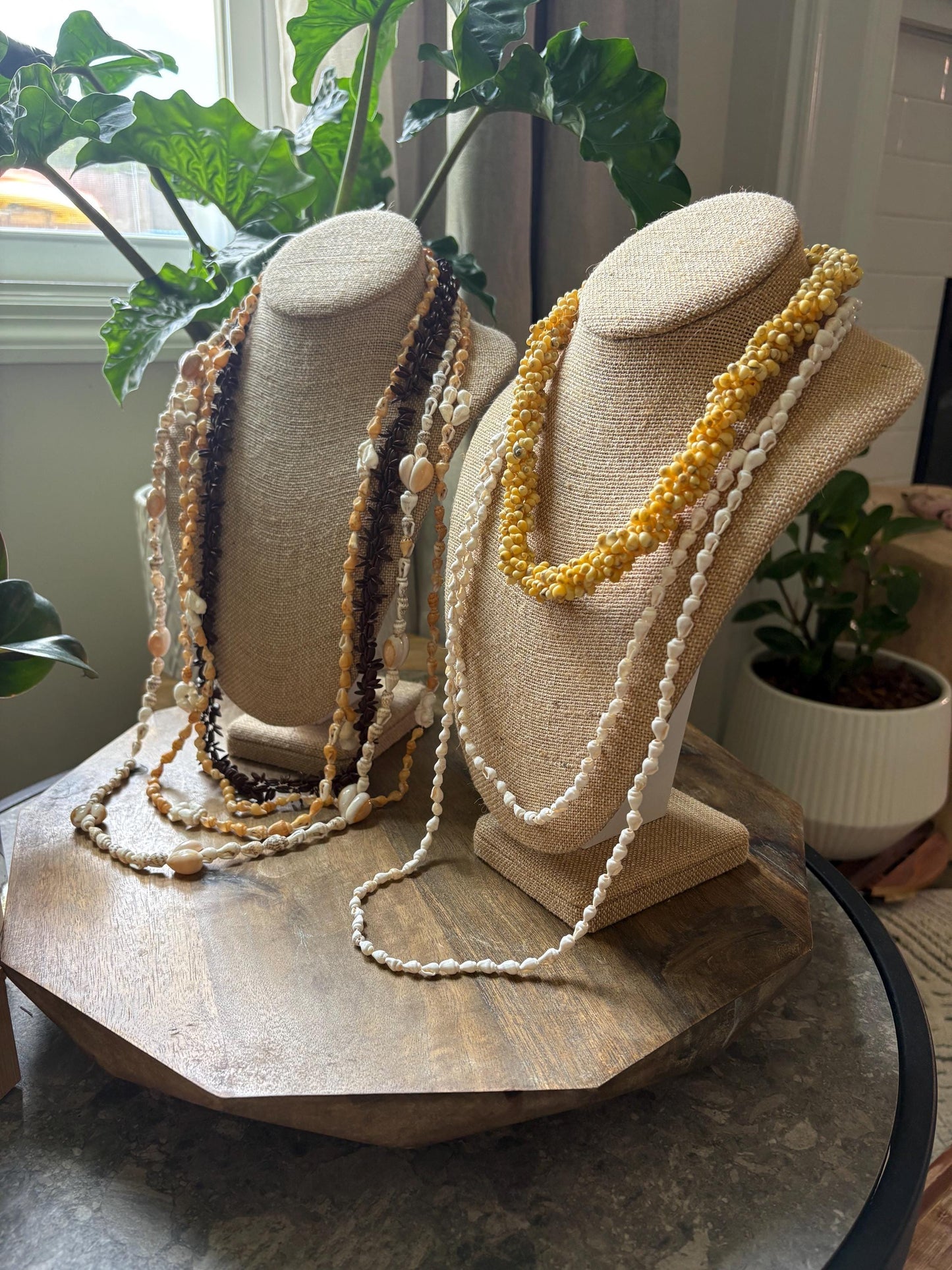 Seashell Lei Set: Authentic Pacific Ocean Shells, Celebration Leis