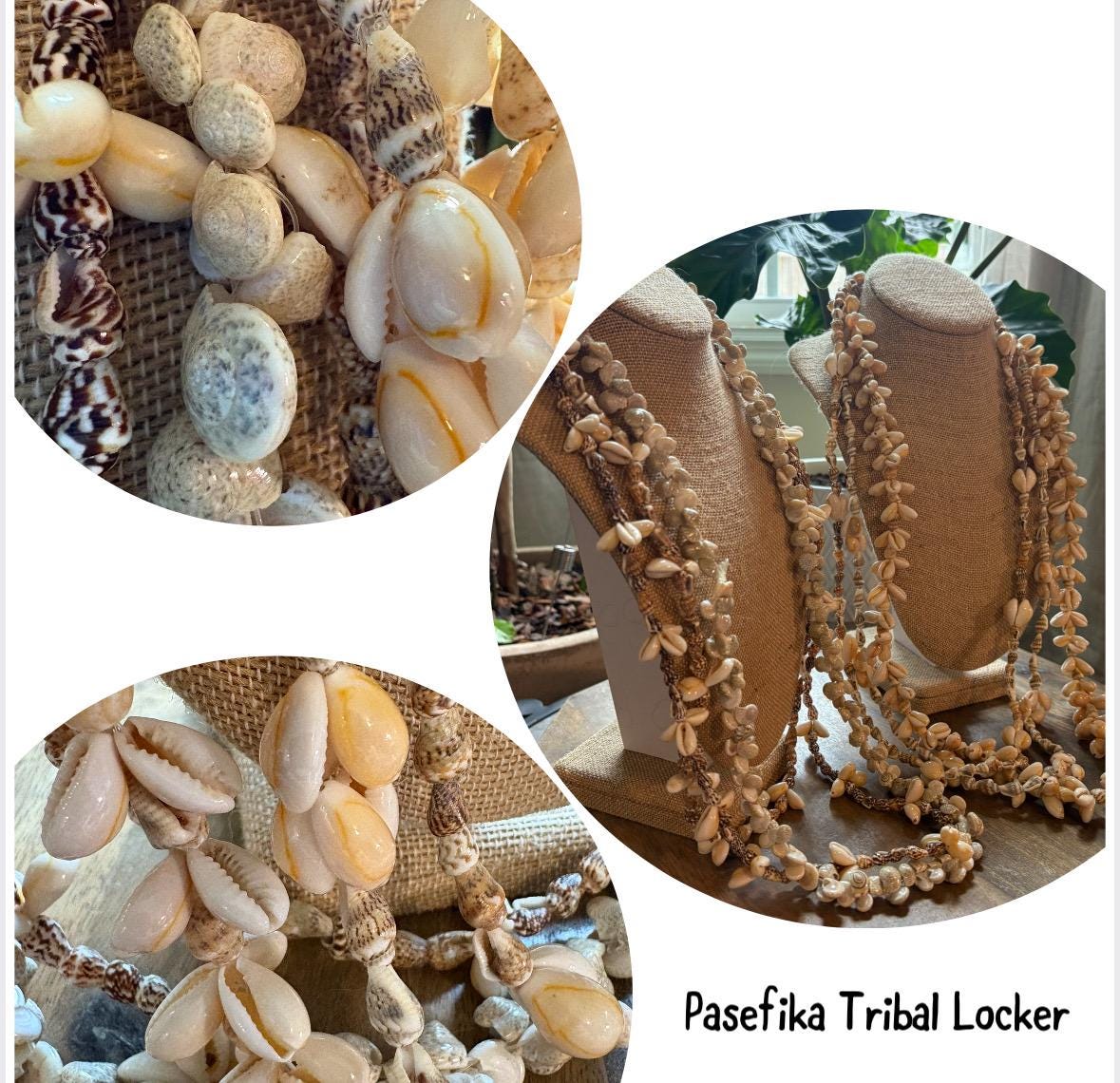 Seashell Lei Collection: Pacific Ocean Shell Leis, Set of 6