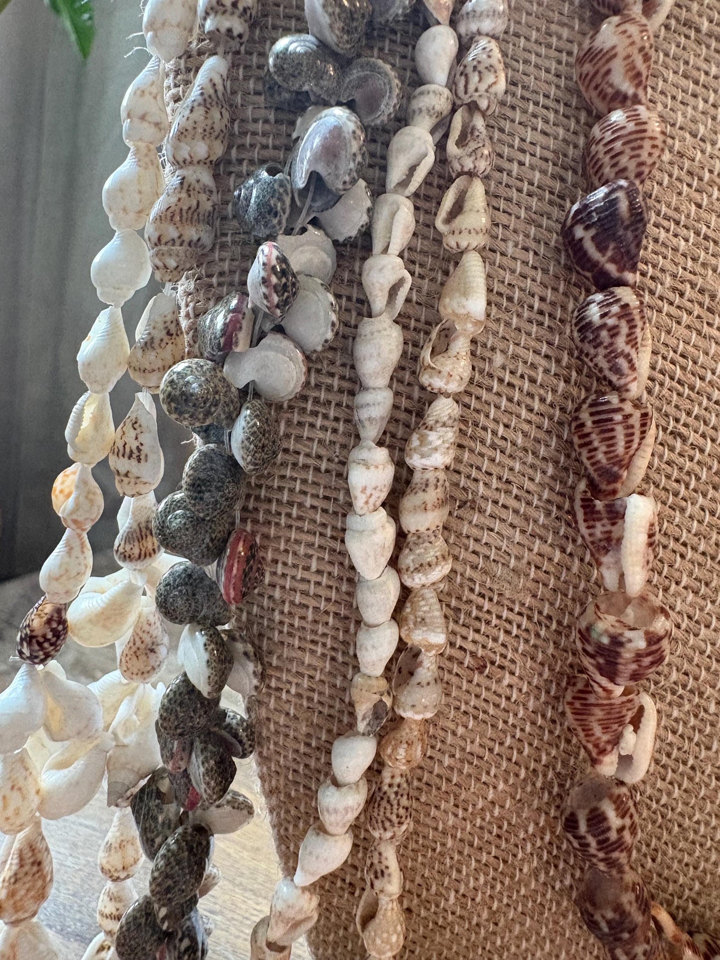 Seashell Lei Set: Authentic Polynesian Celebration Necklaces
