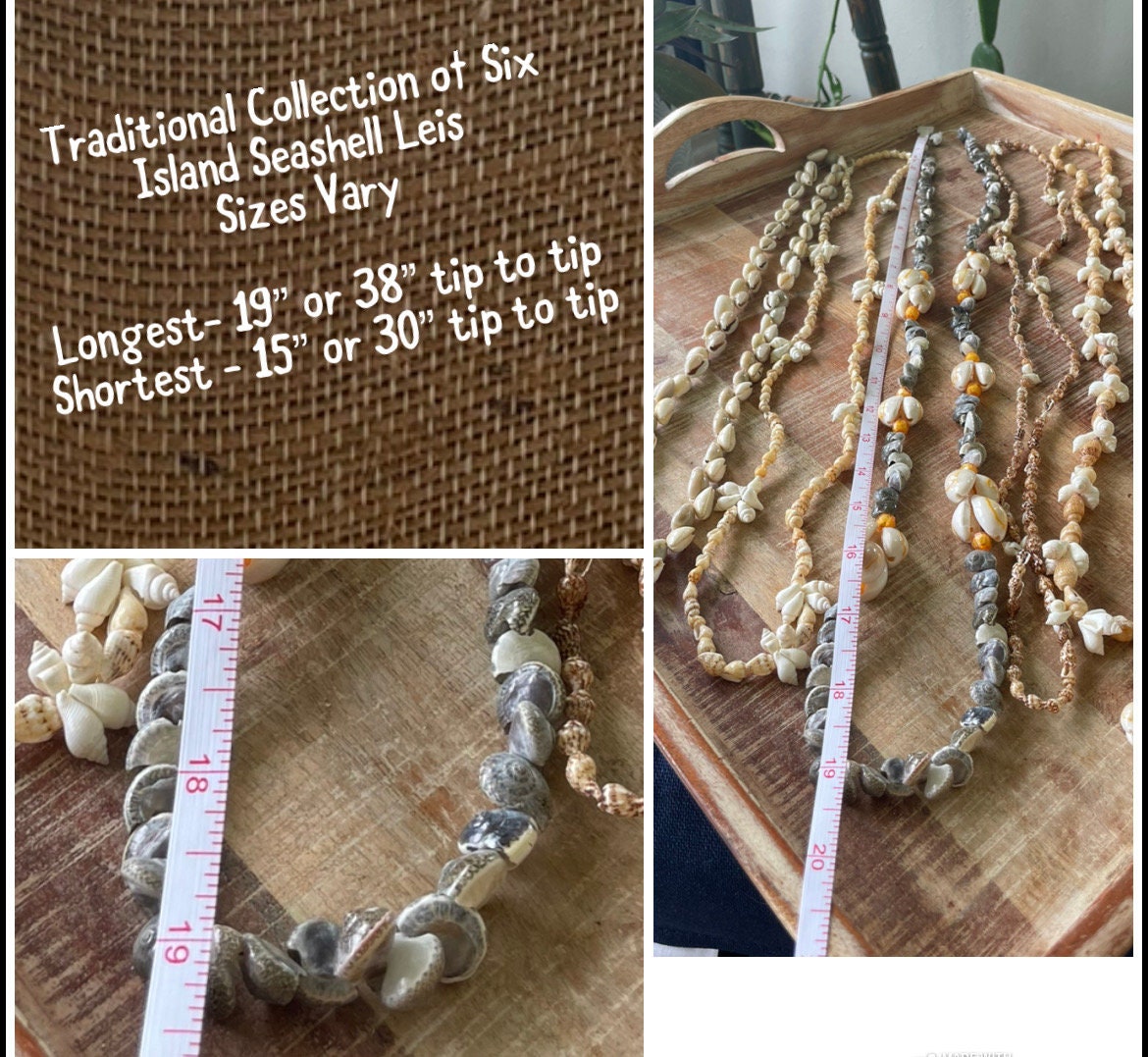 Authentic Seashell Lei Set – Polynesian Celebration Leis, Graduation, Wedding