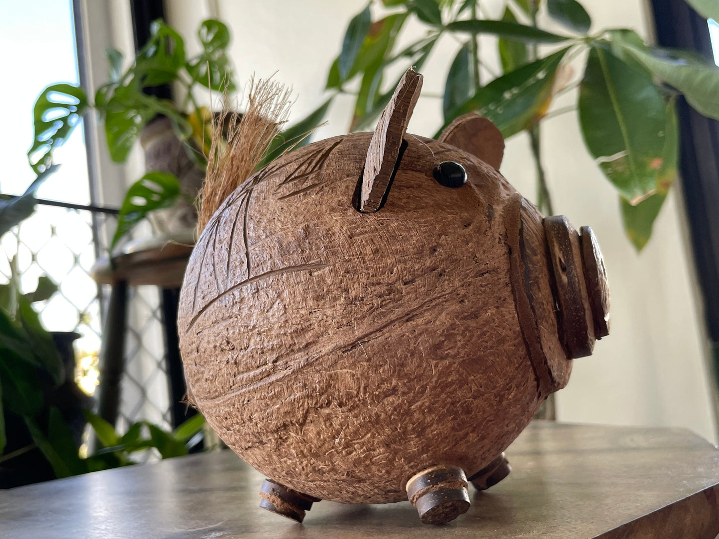 Hand Carved Coconut Piggy Bank – Guamanian Folk Art Display