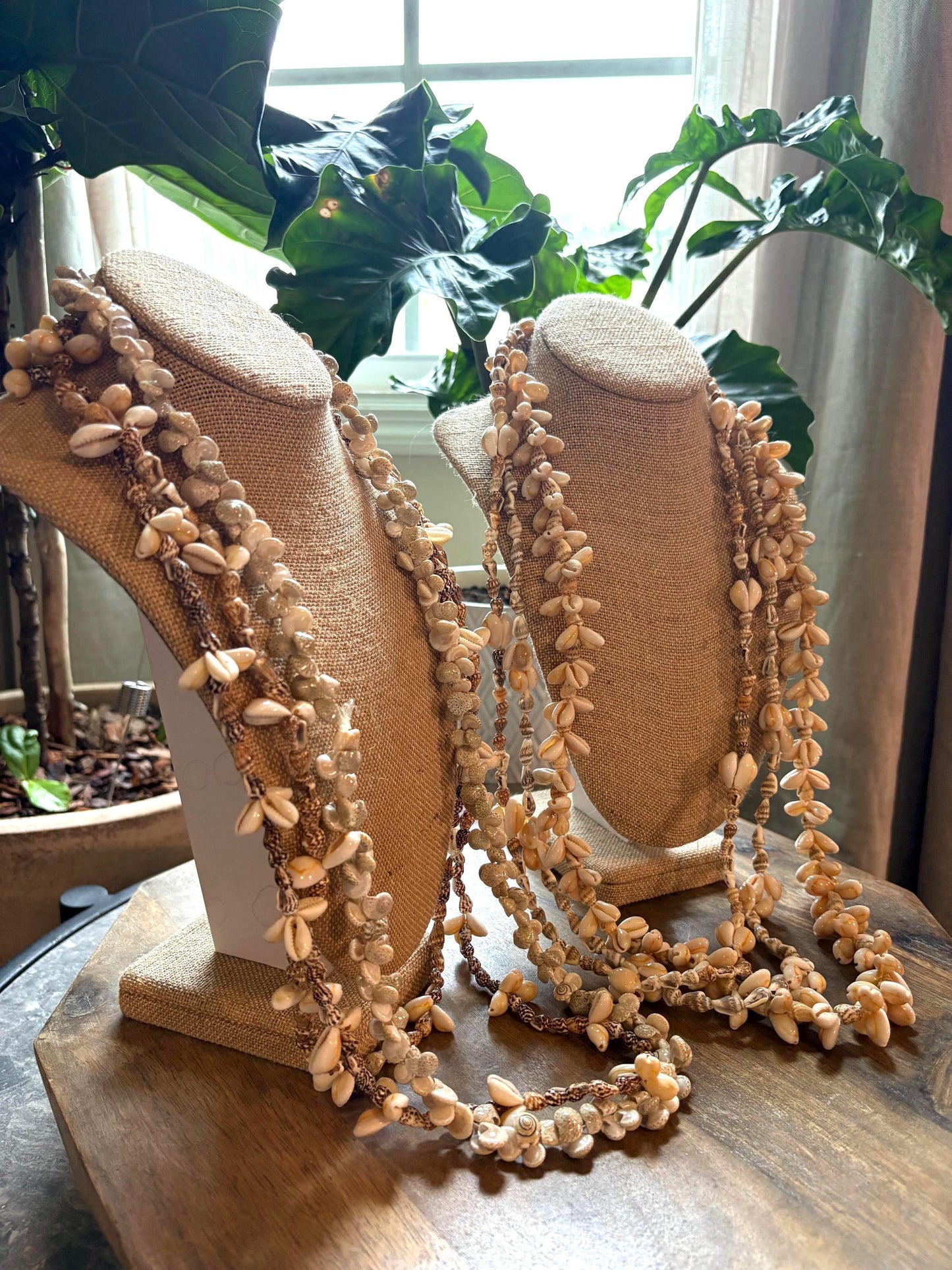 Seashell Lei Collection: Pacific Ocean Shell Leis, Set of 6