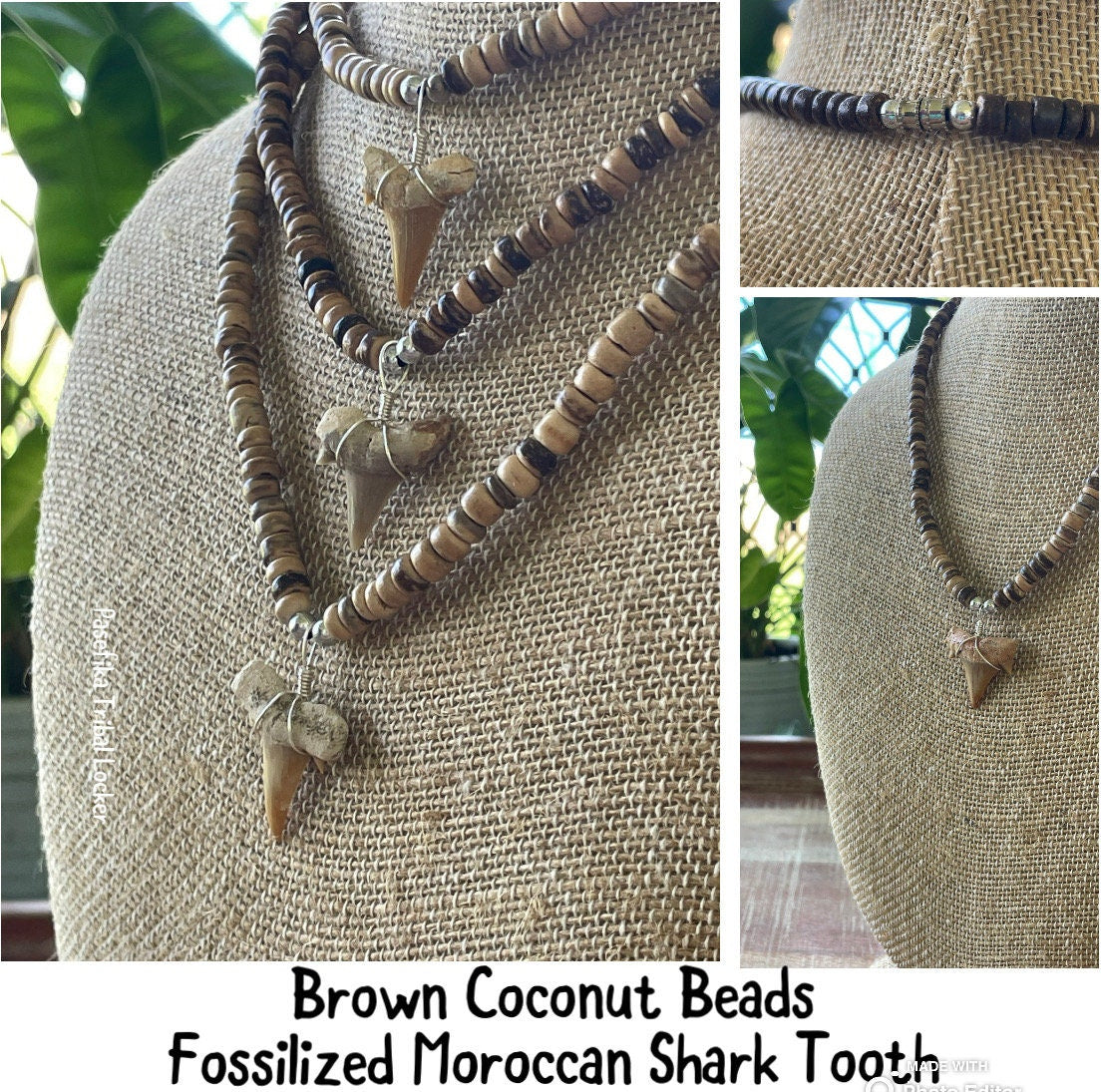 Authentic Mako & Fossilized Moroccan Shark Tooth Necklaces on Coconut Beaded Necklaces with Silver Clasp