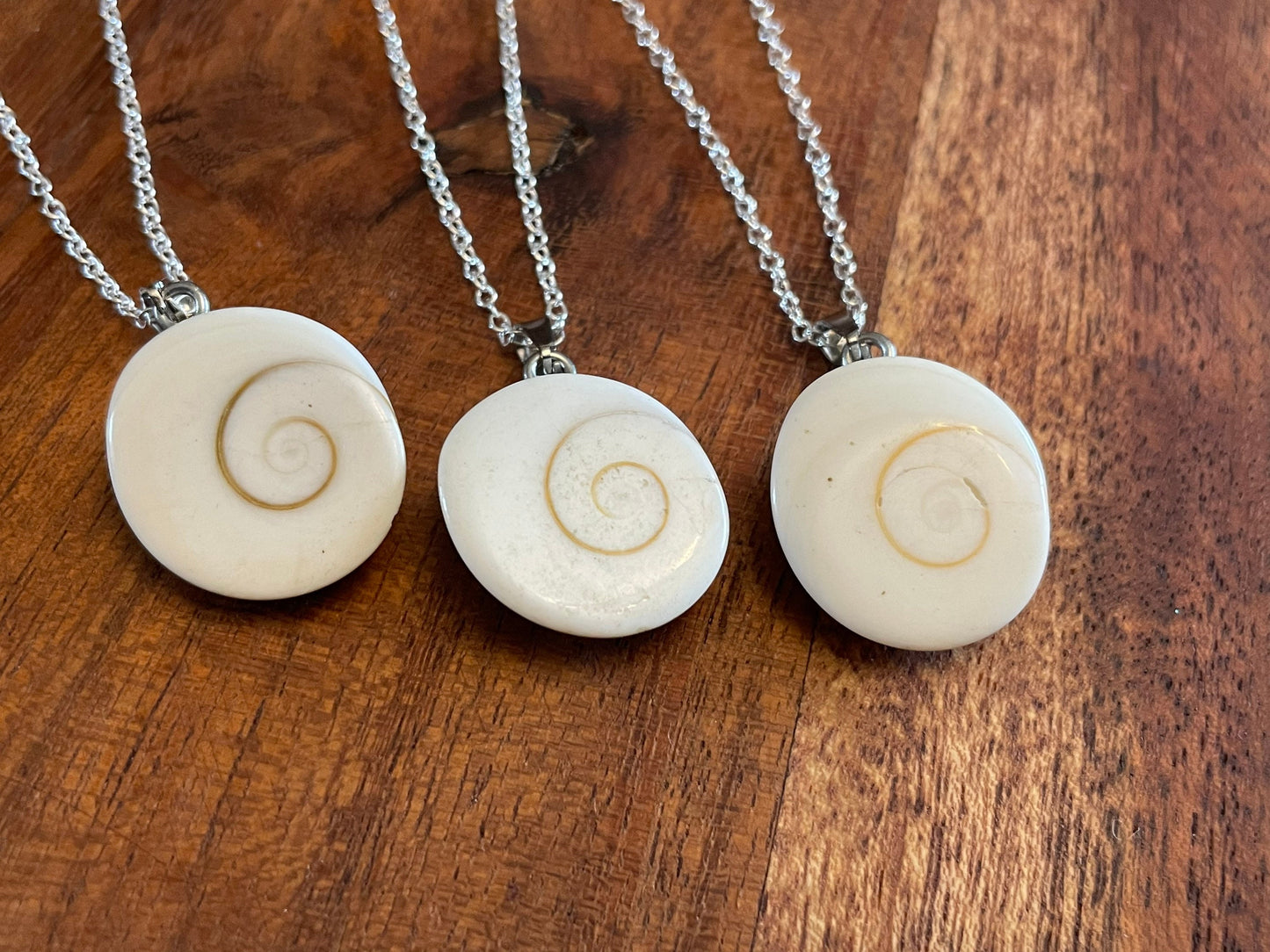 Natural Shiva Eye - Real Authentic Fossilized Seashell Pendant on .925 Silver Plated Chain