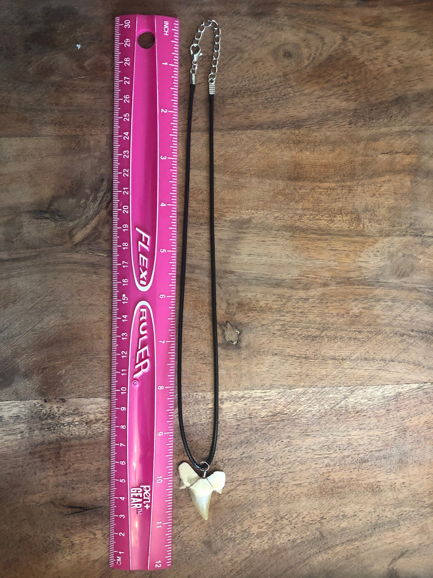REAL Otodus Shark Tooth Fossil Adjustable Necklace
