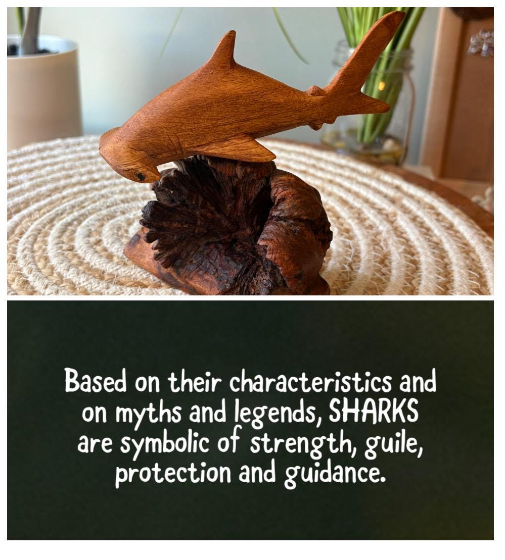 Hand Carved Hammerhead Shark Sculpture on Leech Wood