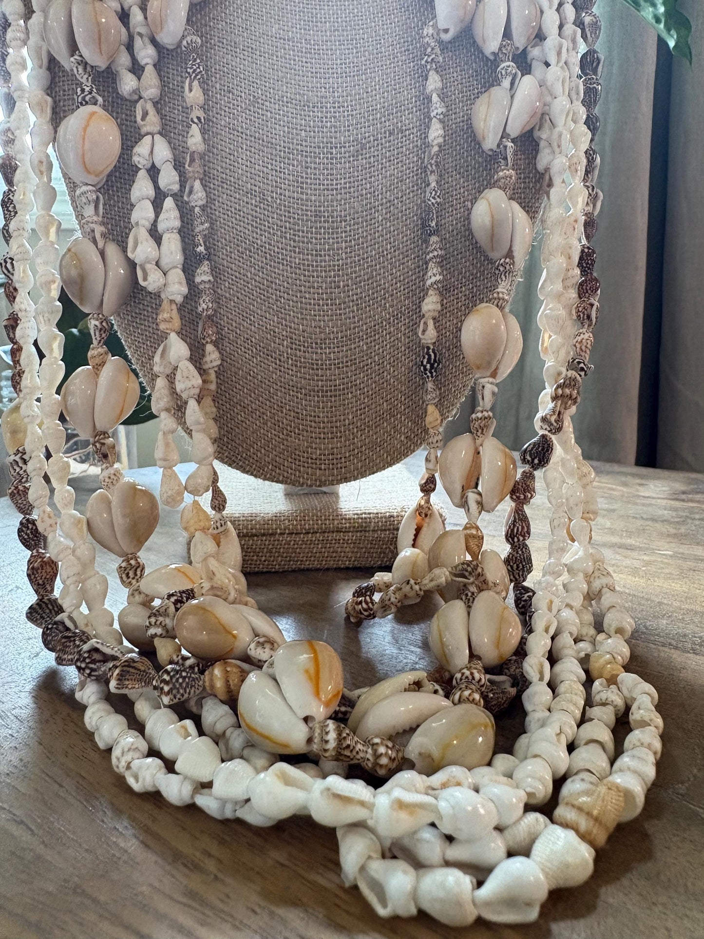 Seashell Lei Set: 6 Pacific Ocean Leis, Graduation Wedding Celebration