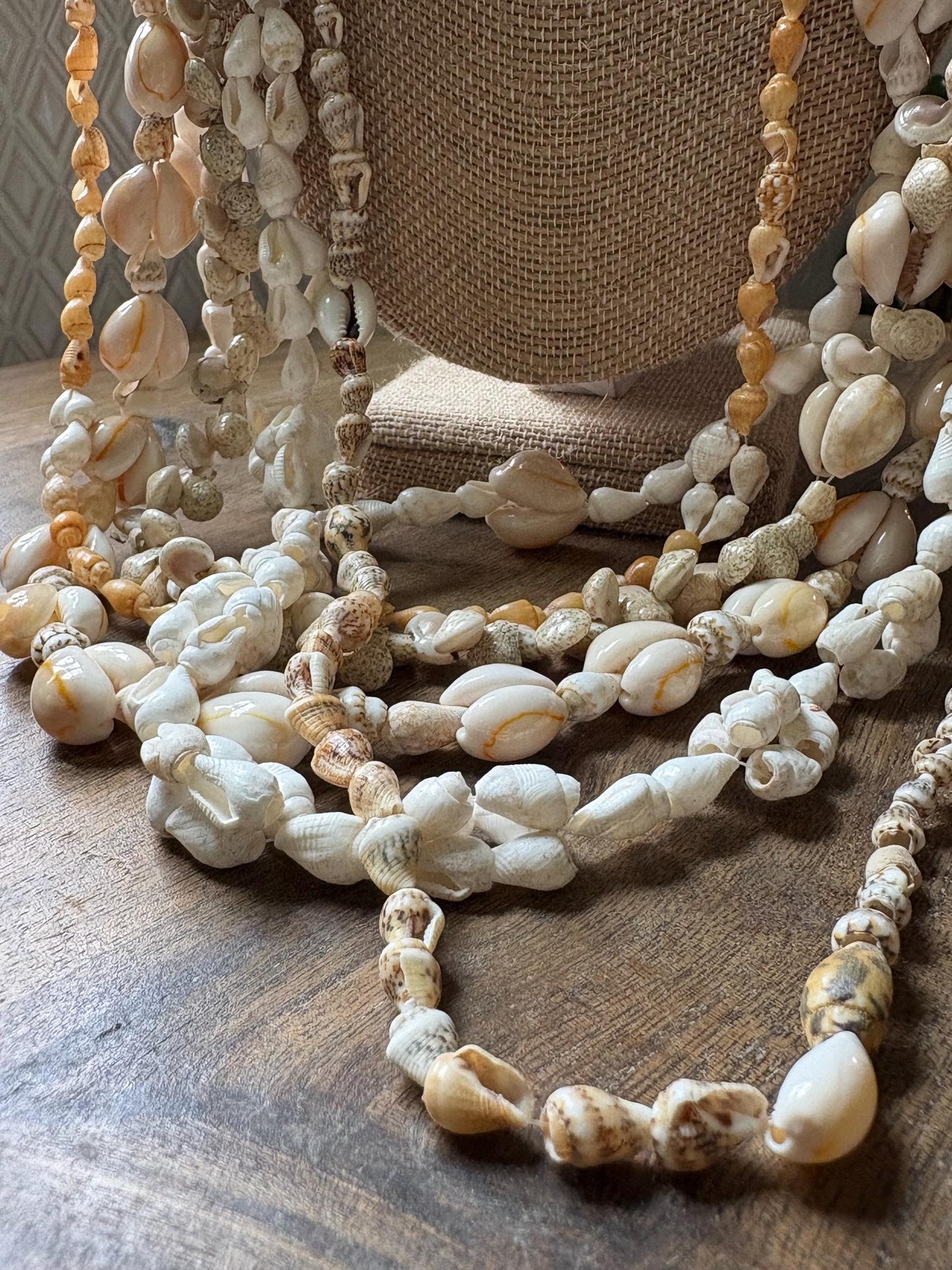 Seashell Lei Set: Pacific Ocean Shell Graduation Leis (34-36")