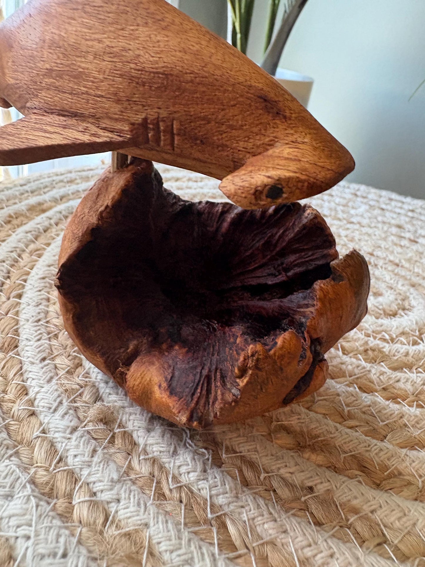 Hand Carved Hammerhead Shark on Leech Wood Base