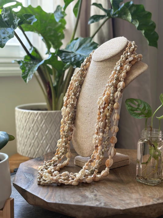 Polynesian and Micronesian Collection of 6 Seashell Leis - Graduation, Celebration, Wedding, Birthday, Performance Leis