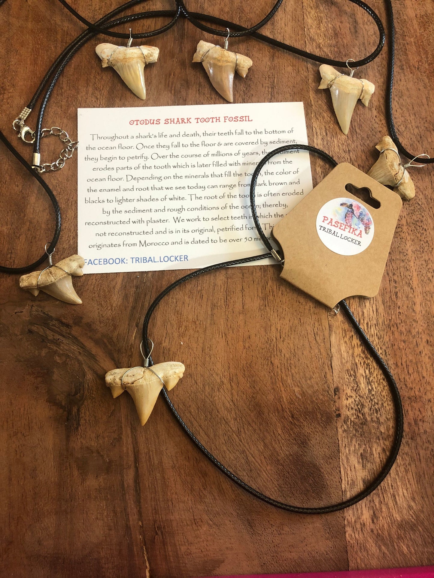 REAL Otodus Shark Tooth Fossil Adjustable Necklace