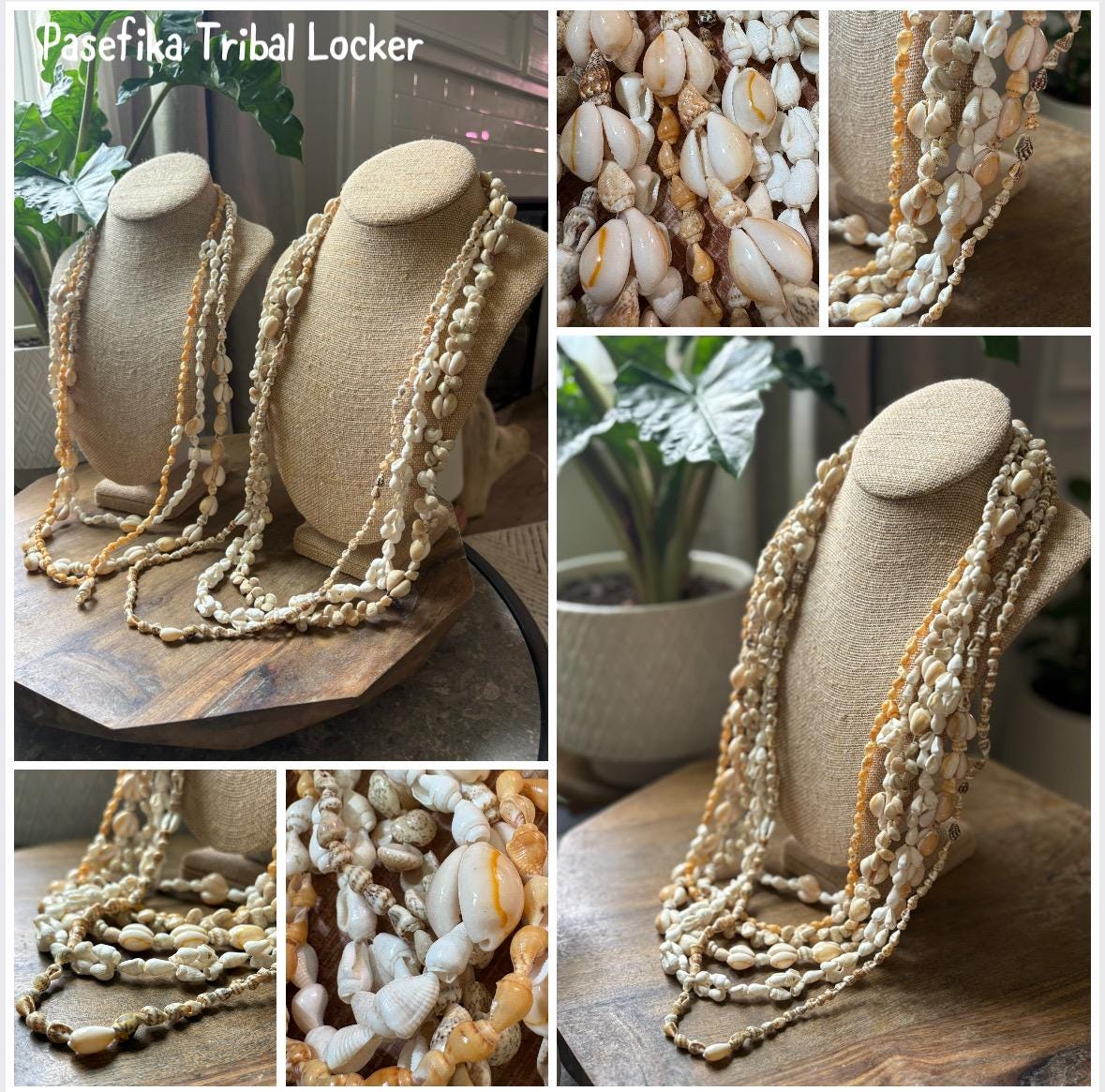 Seashell Lei Set: Pacific Ocean Shell Graduation Leis (34-36")