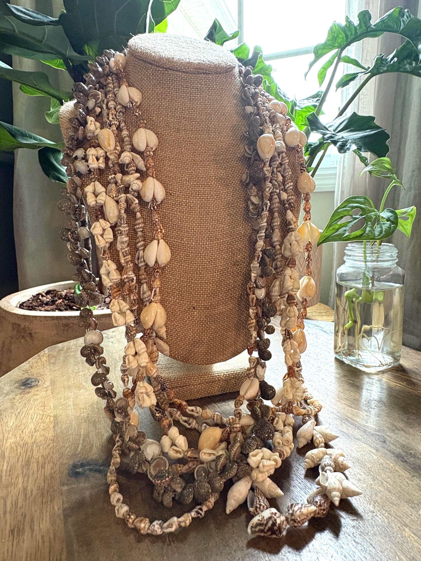 Authentic Seashell Lei Set: Pacific Island Celebration Leis