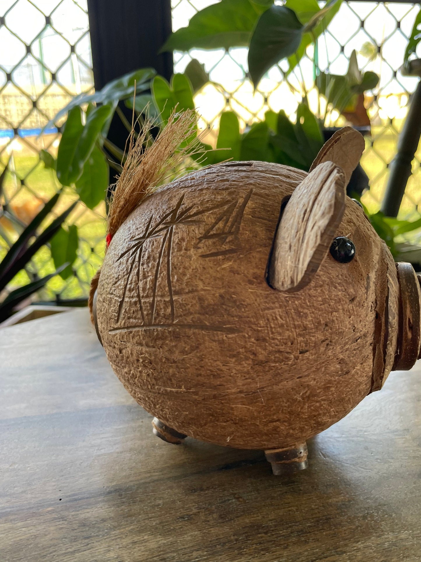 Hand Carved Coconut Piggy Bank – Guamanian Folk Art Display