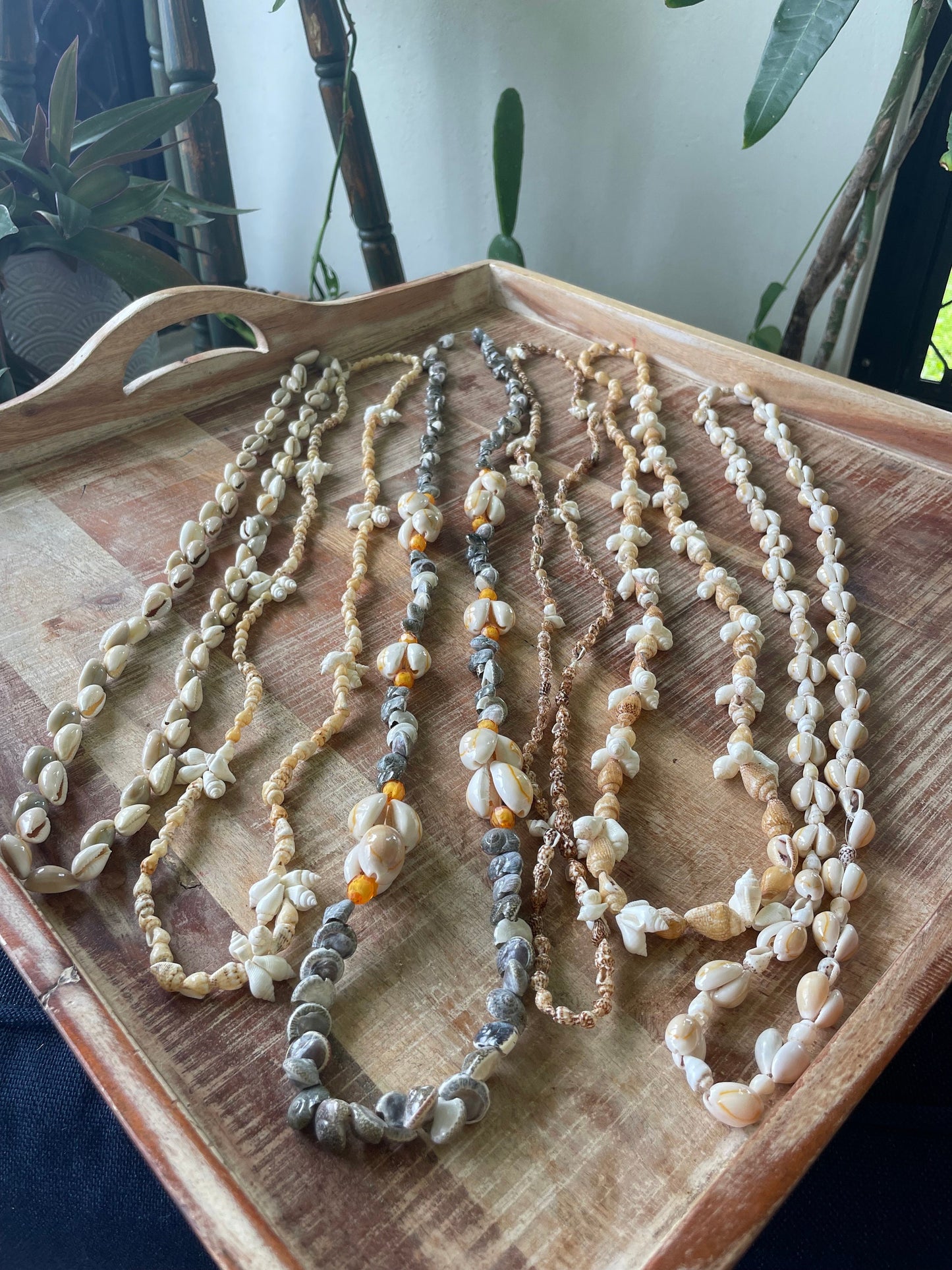 Authentic Seashell Lei Set – Polynesian Celebration Leis, Graduation, Wedding