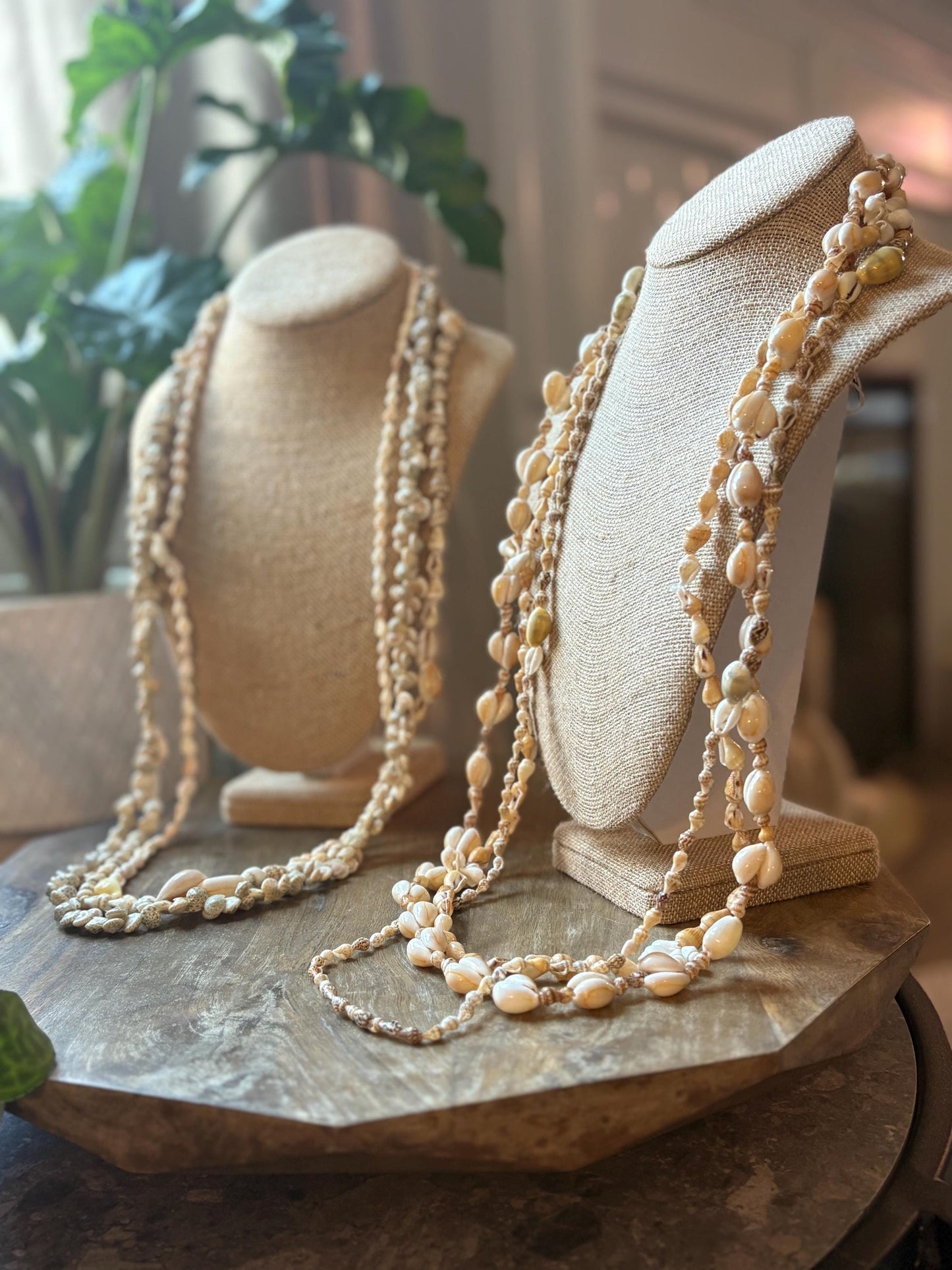 Seashell Lei Set – Pacific Ocean Shells, Celebration Leis