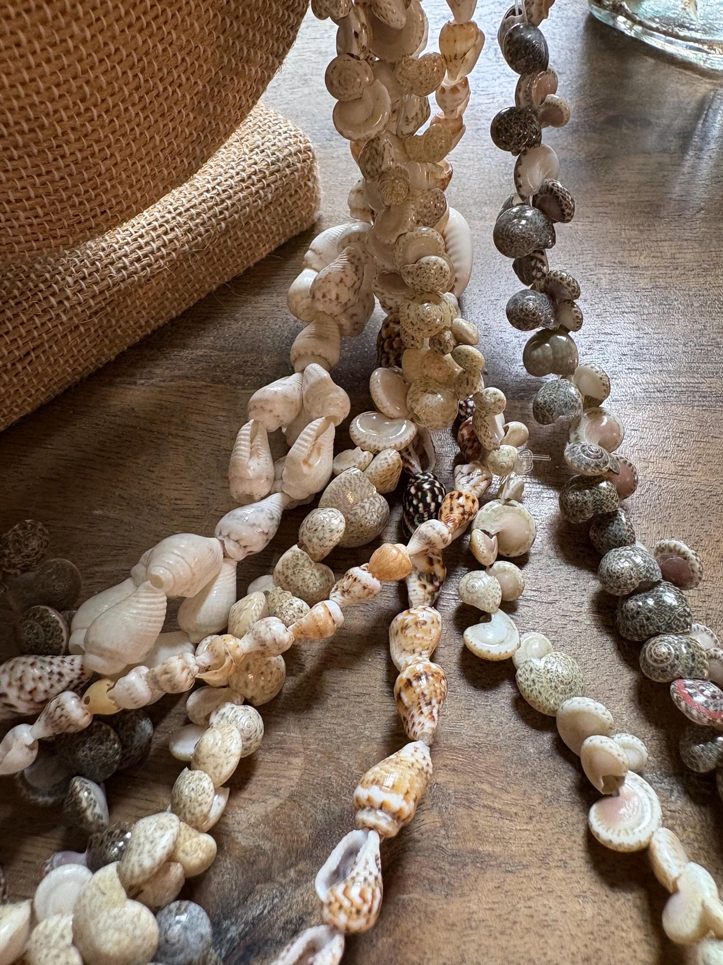 Seashell Lei Set: Authentic Pacific Ocean Shells, Graduation, Wedding
