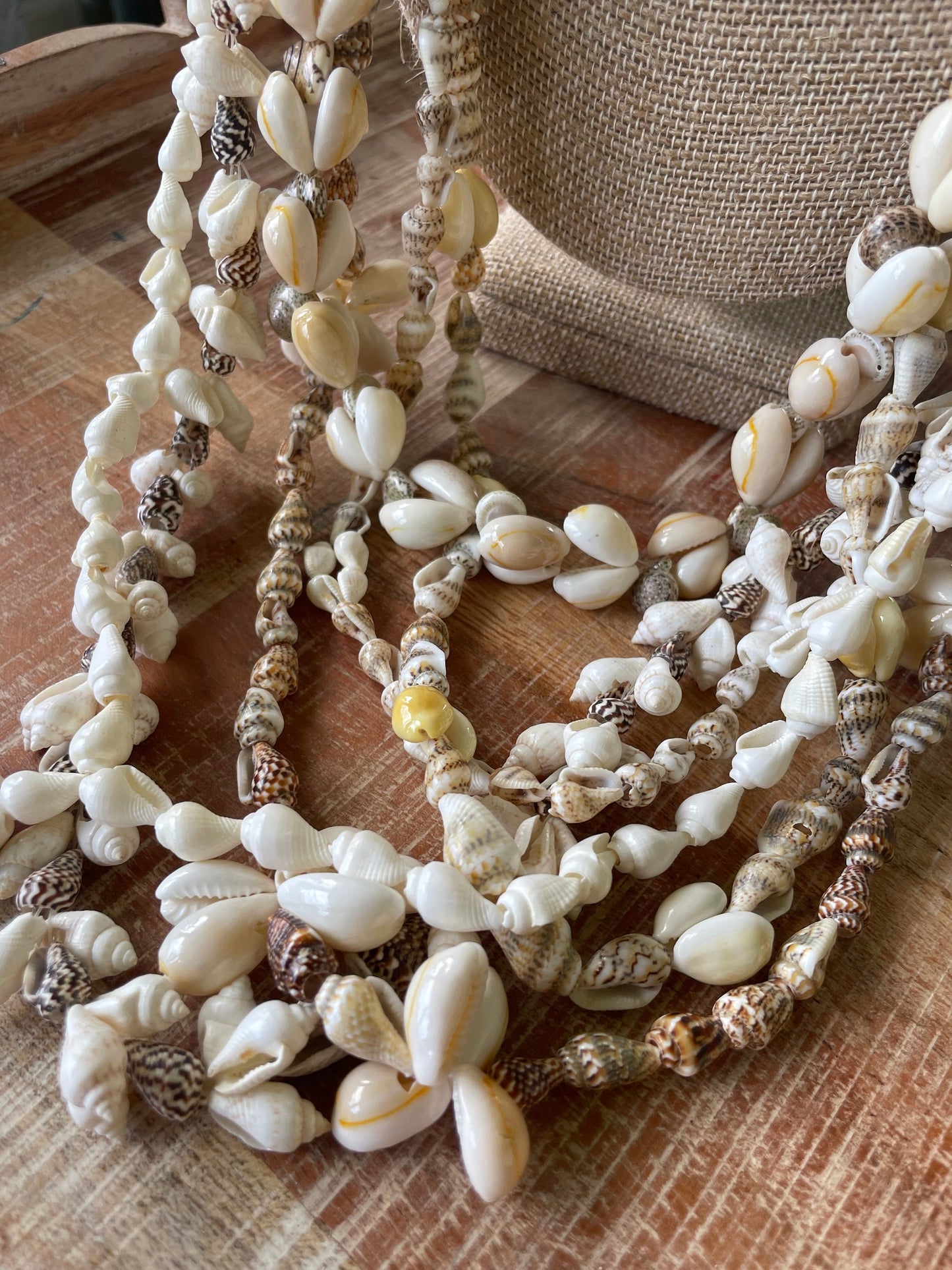 Seashell Lei Set – Pacific Island Celebration Leis, 6 Piece (30-38”)