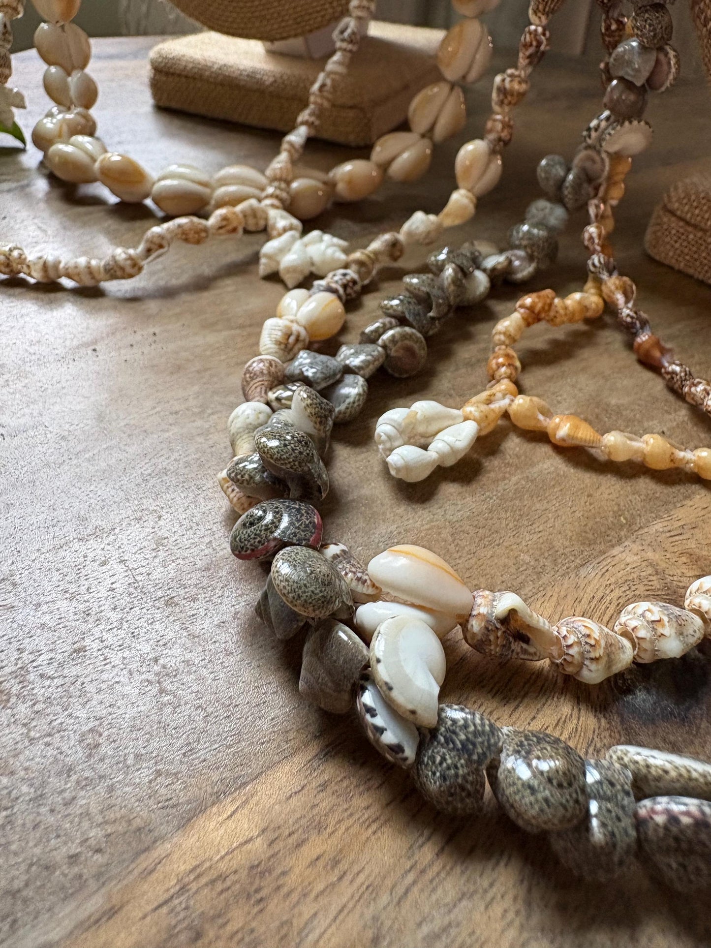 Authentic Seashell Lei Set – Pacific Island Celebration Leis (Set of 6)