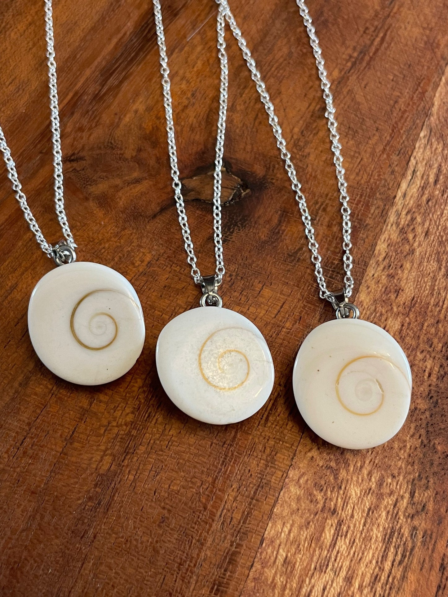 Natural Shiva Eye - Real Authentic Fossilized Seashell Pendant on .925 Silver Plated Chain