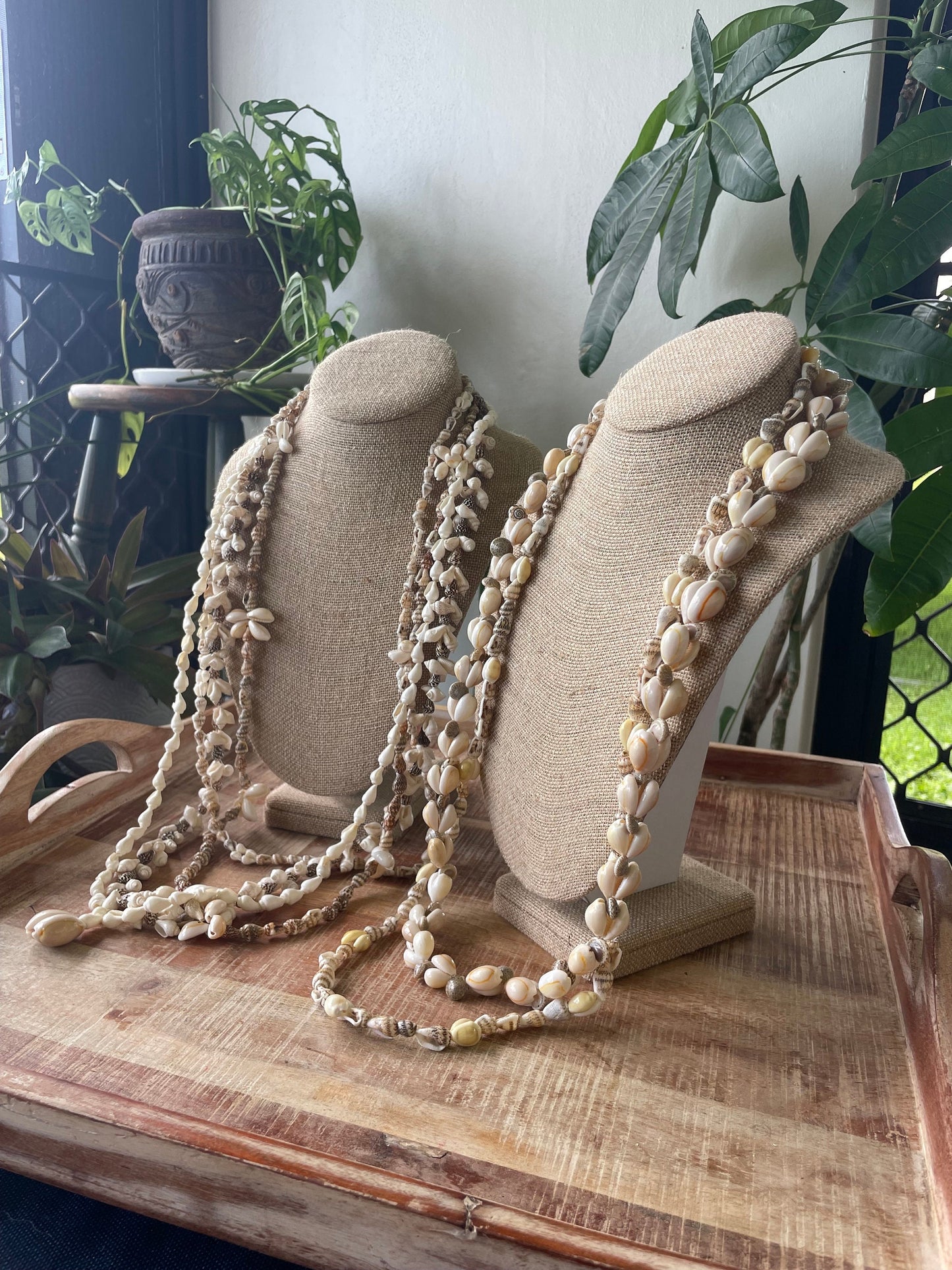 Seashell Lei Set – Pacific Island Celebration Leis, 6 Piece (30-38”)