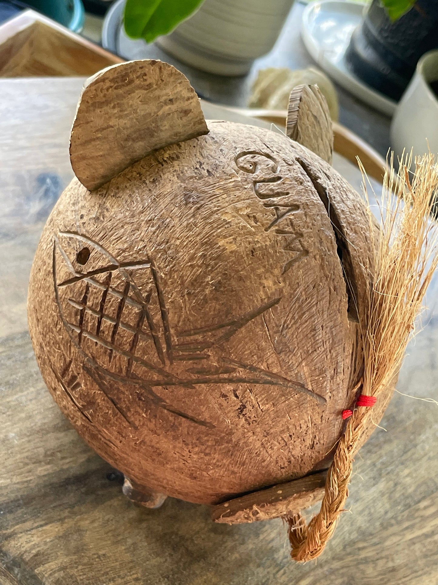 Hand Carved Coconut Piggy Bank – Guamanian Folk Art Display