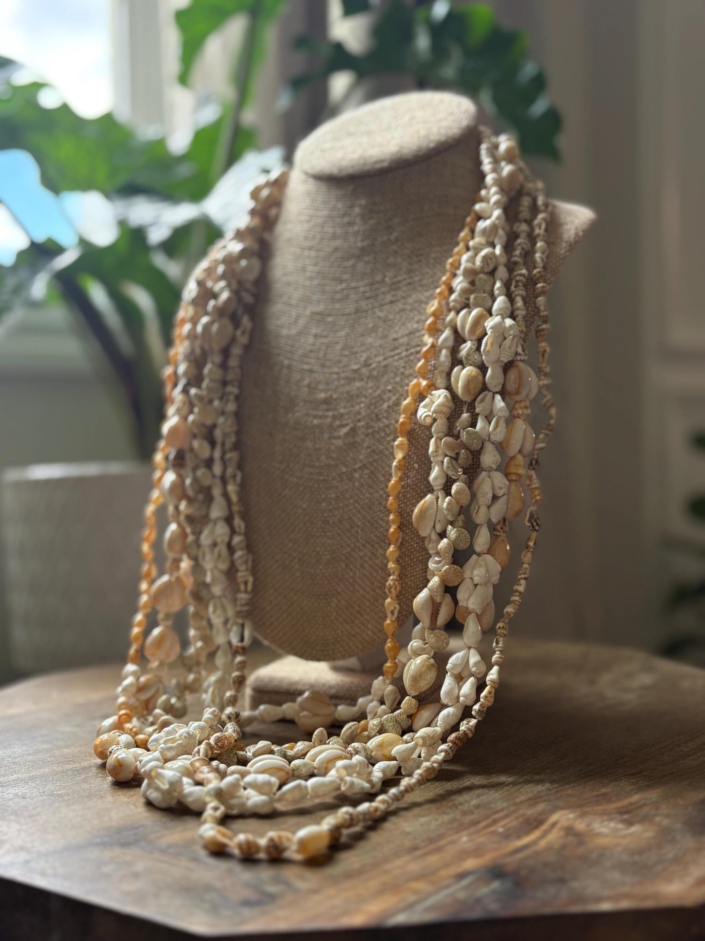Seashell Lei Set: Pacific Ocean Shell Graduation Leis (34-36")