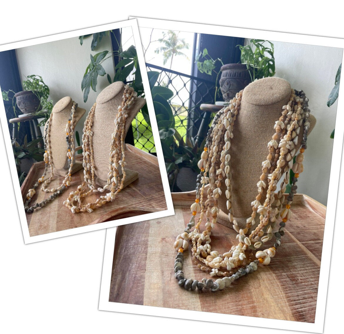 Authentic Seashell Lei Set – Polynesian Celebration Leis, Graduation, Wedding