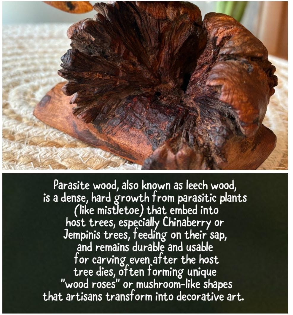 Hand Carved Hammerhead Shark Sculpture on Leech Wood