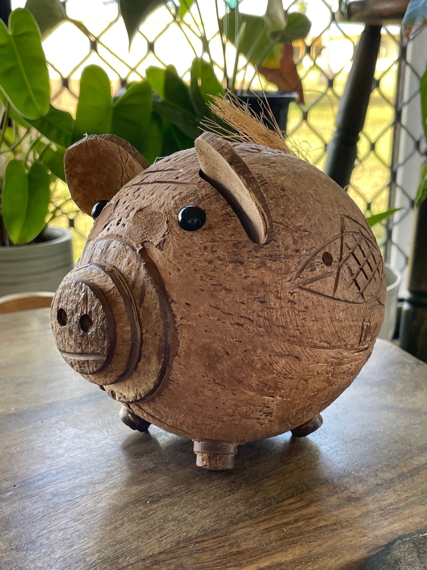 Hand Carved Coconut Piggy Bank – Guamanian Folk Art Display