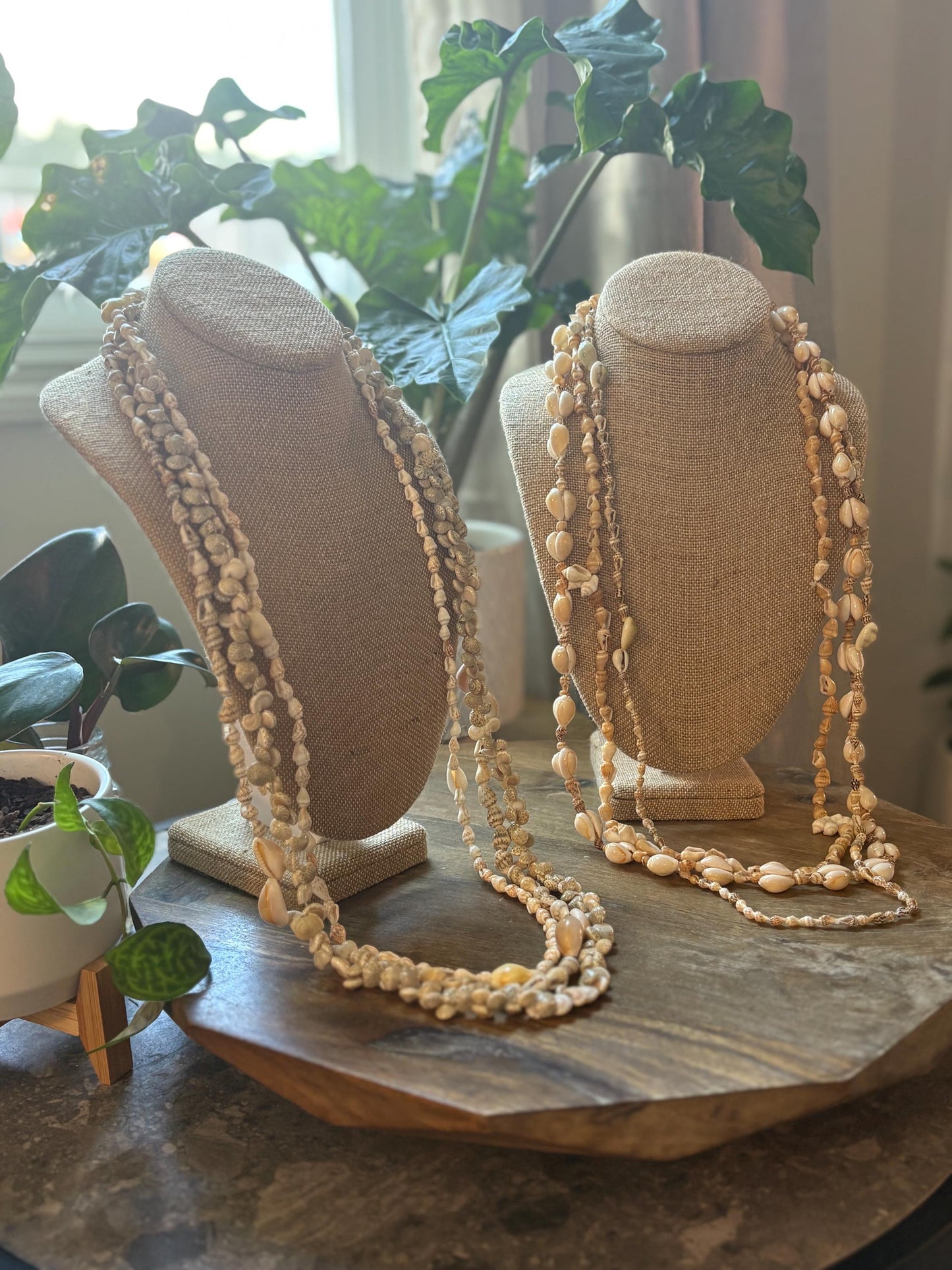 Seashell Lei Set – Pacific Ocean Shells, Celebration Leis