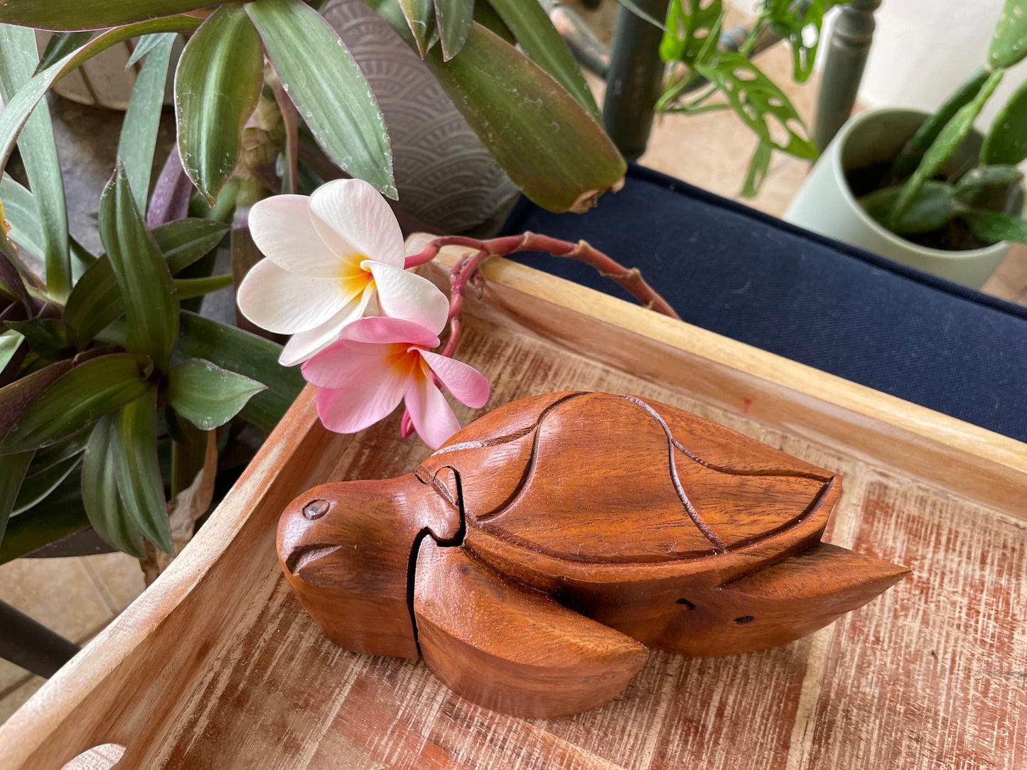 Handmade Sea Hibiscus Wood Turtle Puzzle Box – Hidden Compartment