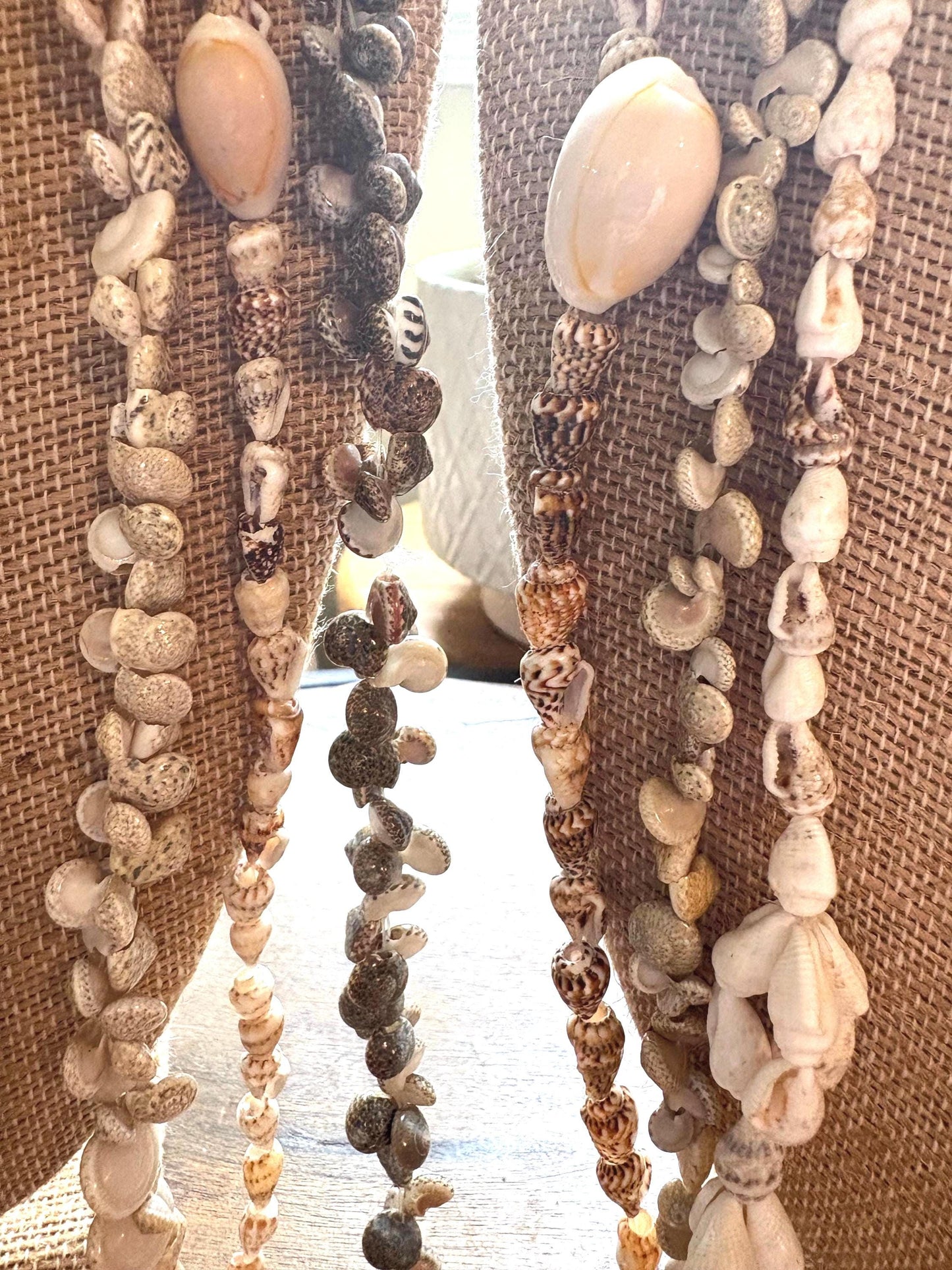 Seashell Lei Set: Authentic Pacific Ocean Shells, Graduation, Wedding