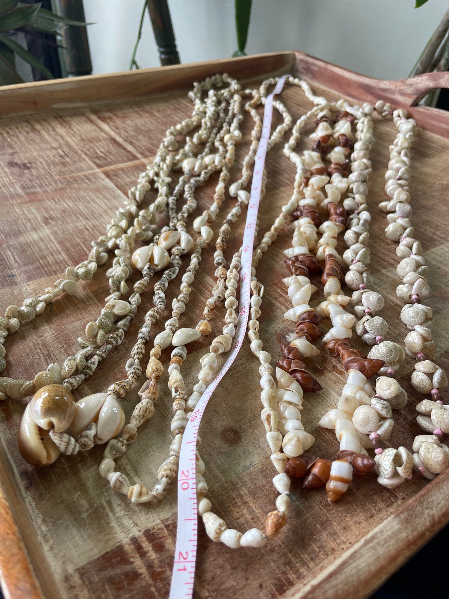 Seashell Lei Set – Authentic Pacific Island Style, Celebration Leis