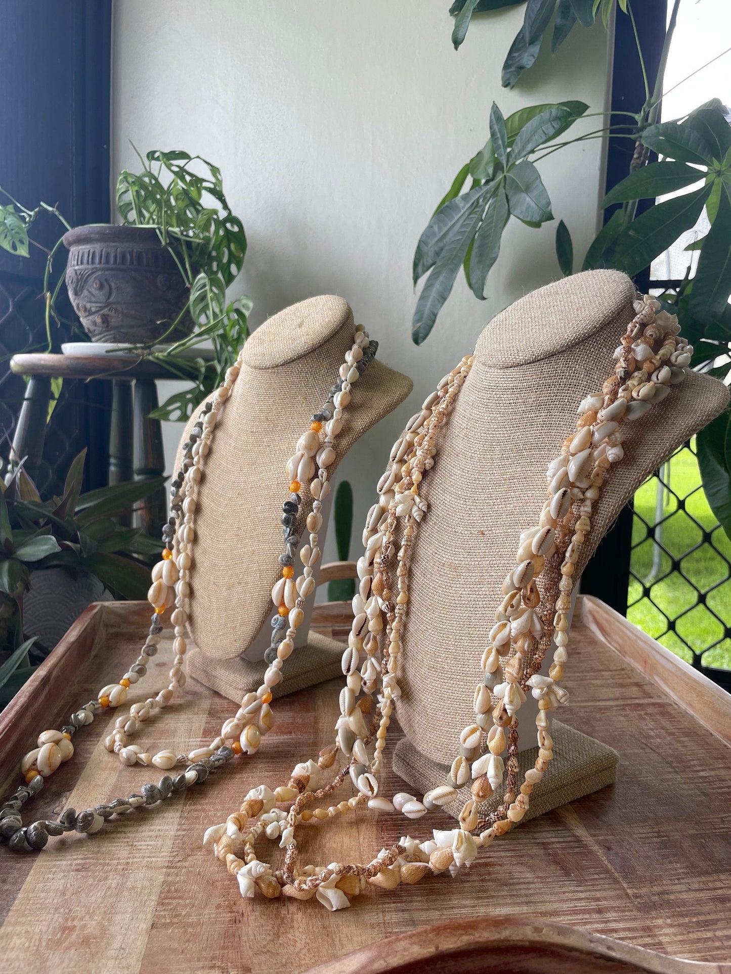 Authentic Seashell Lei Set – Polynesian Celebration Leis, Graduation, Wedding