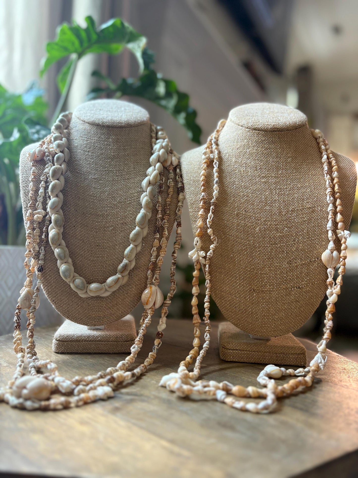 Seashell Lei Set: Authentic Pacific Ocean Shells, Polynesian Celebration Leis