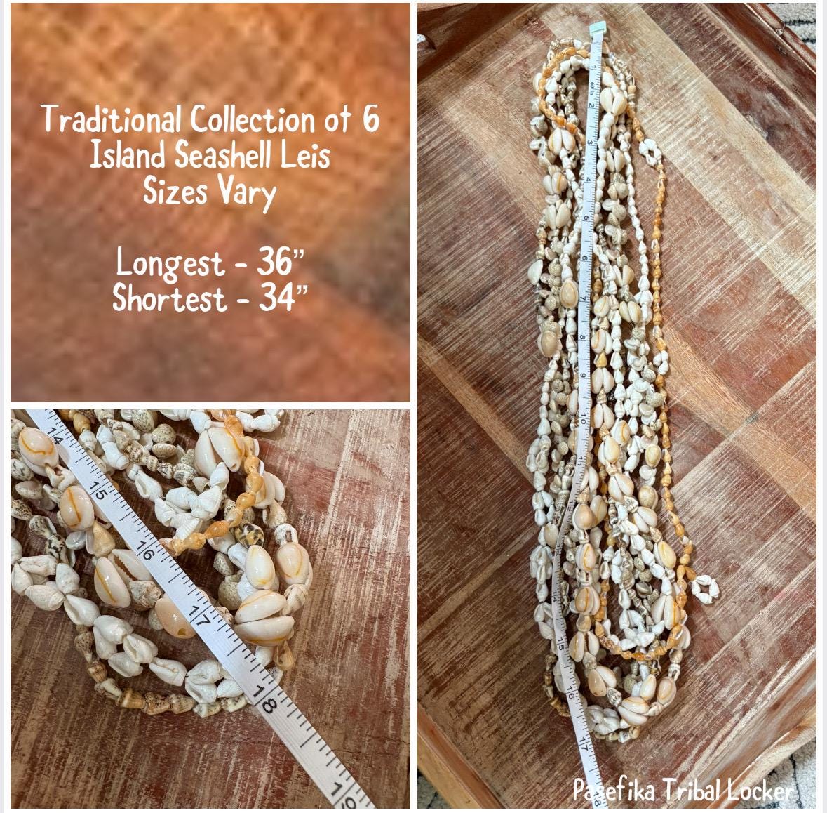Seashell Lei Set: Pacific Ocean Shell Graduation Leis (34-36")